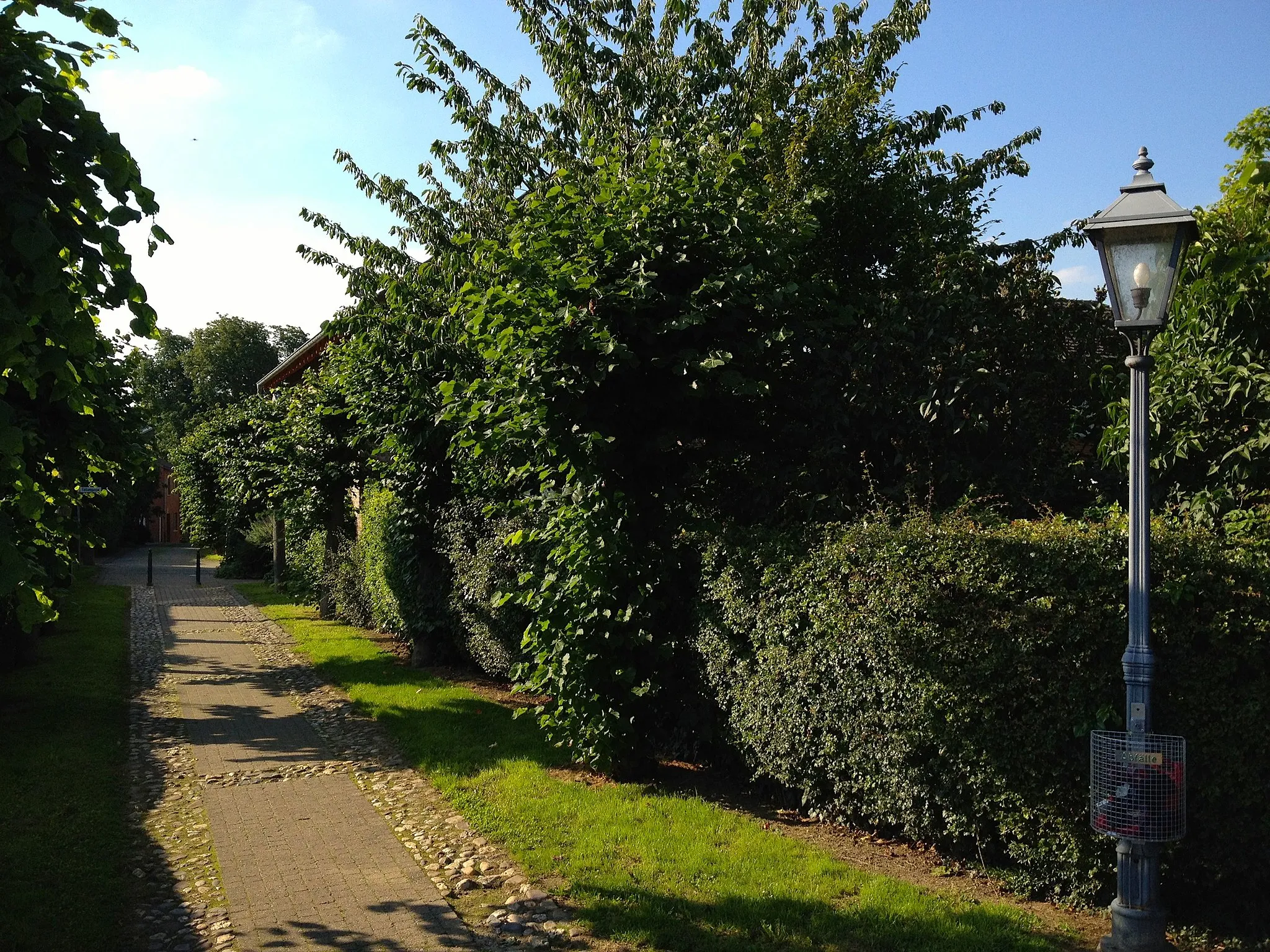 Photo showing: Südpromenade mit Blick nach Nordwesten (Mahrstrasse)