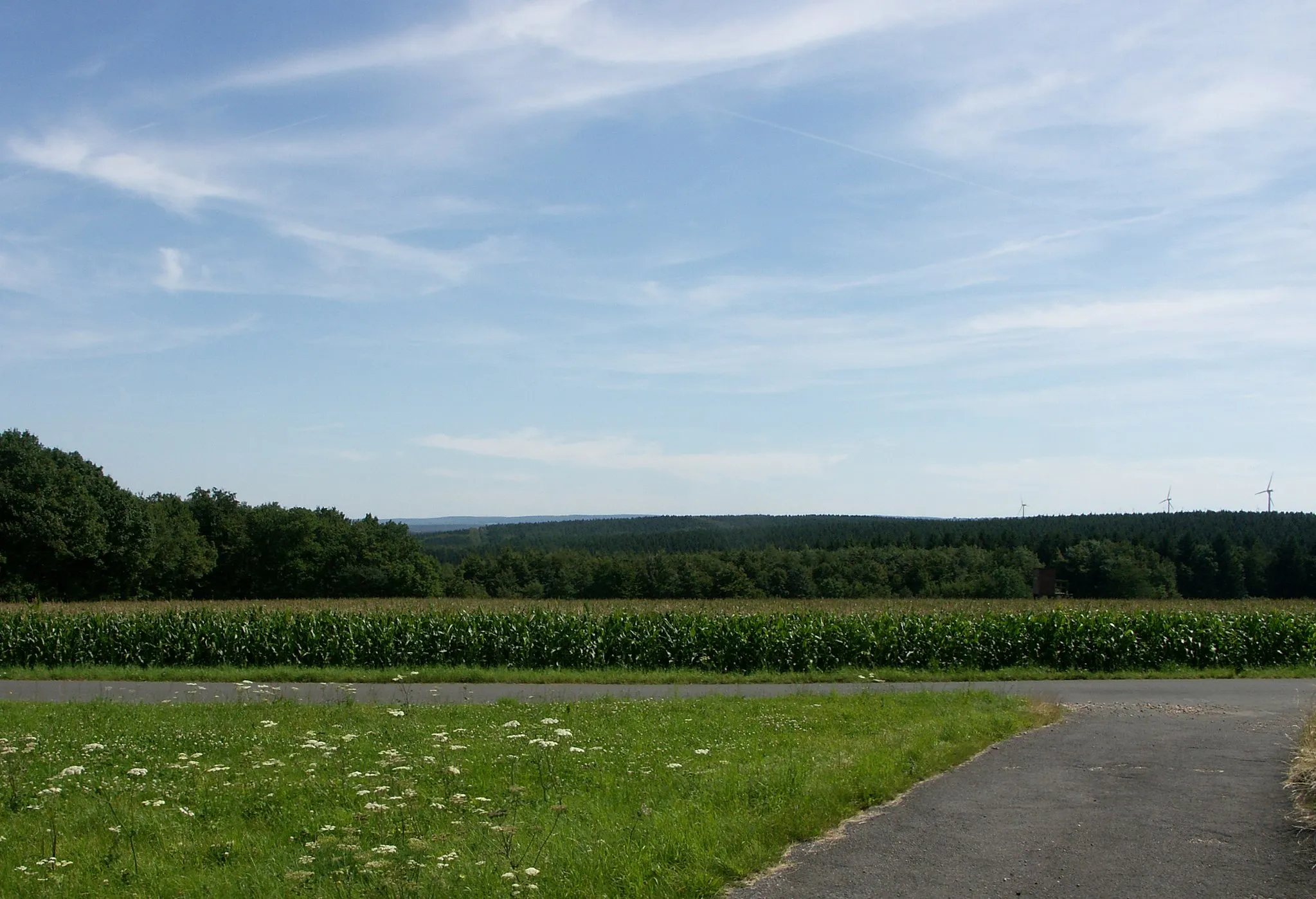 Photo showing: Impression of the landscape of Hürtgenwald, Germany, standing northeast of Kleinhau looking south