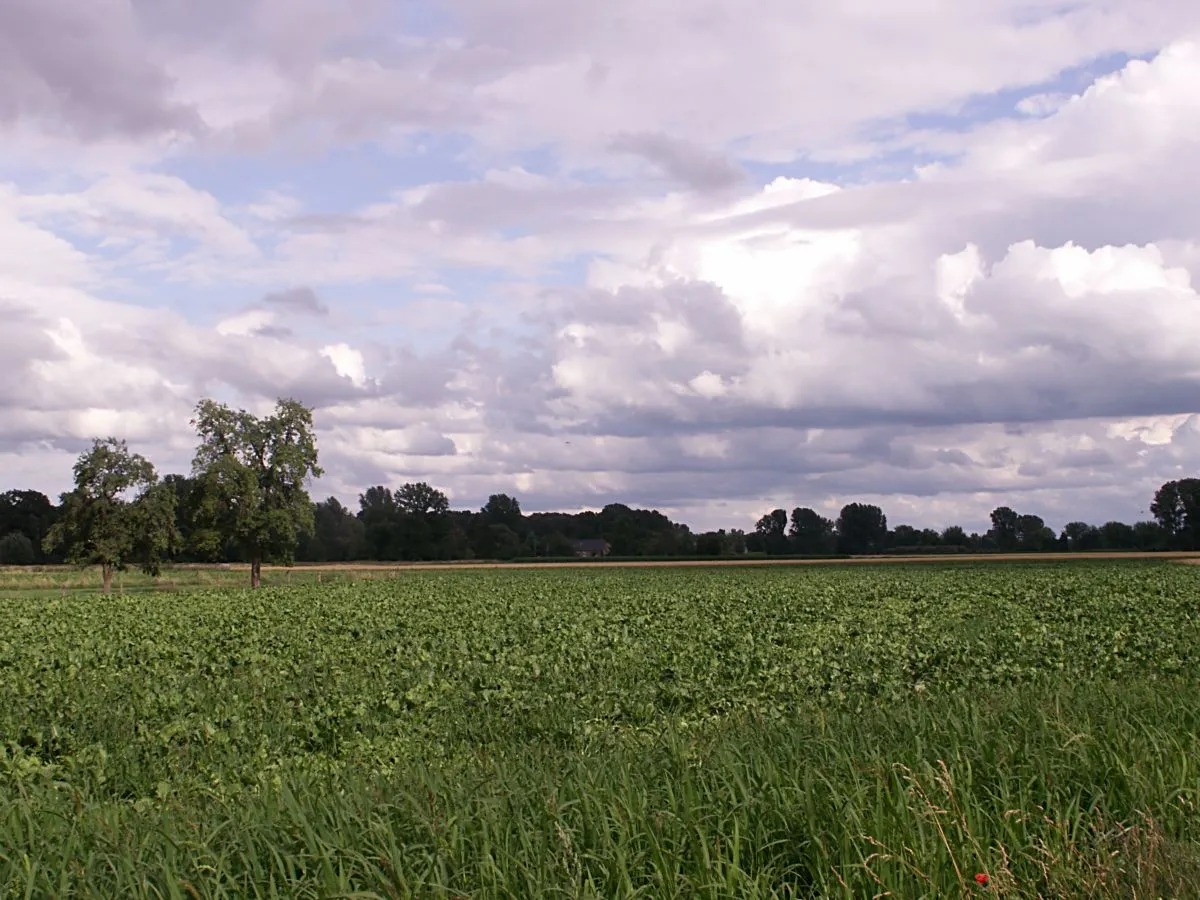 Photo showing: Landschafts-Motive aus dem Heinsberger Land