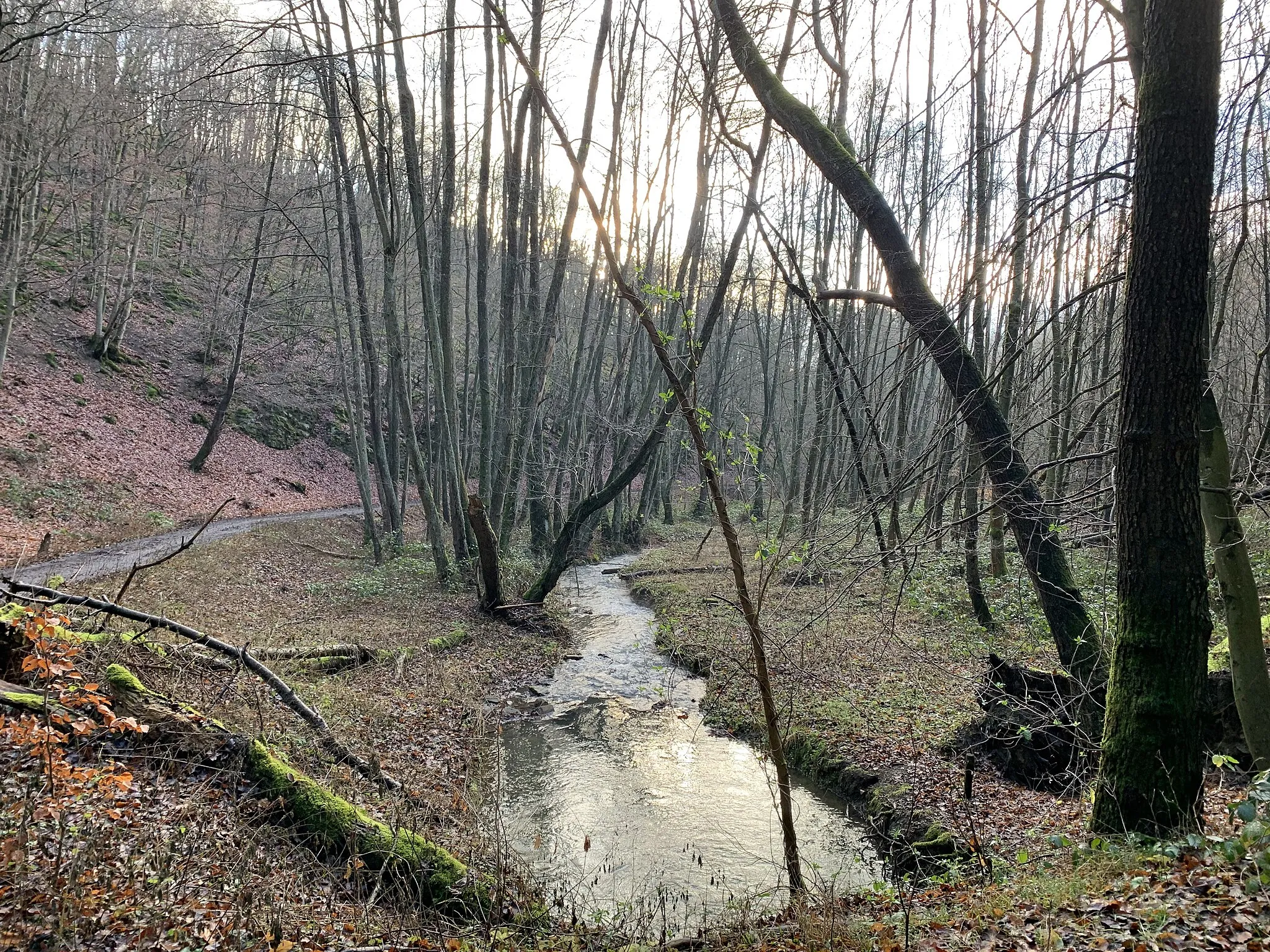 Photo showing: Effelsberger Bach, ein Nebenfluss des Sahrbachs in Nordrhein-Westfalen und Rheinland-Pfalz