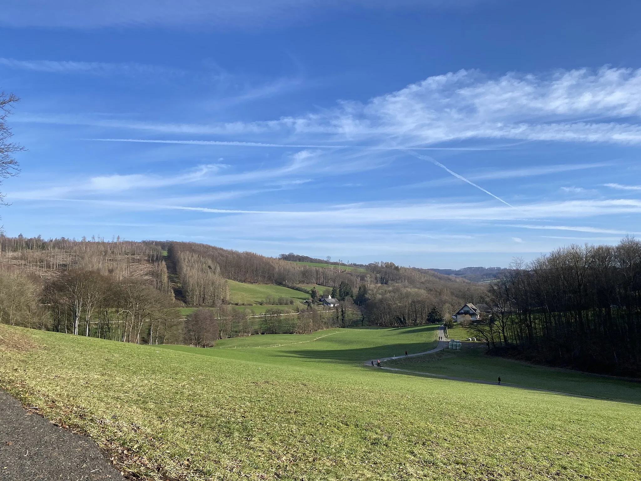 Photo showing: Scherfbachtal (Odenthal)