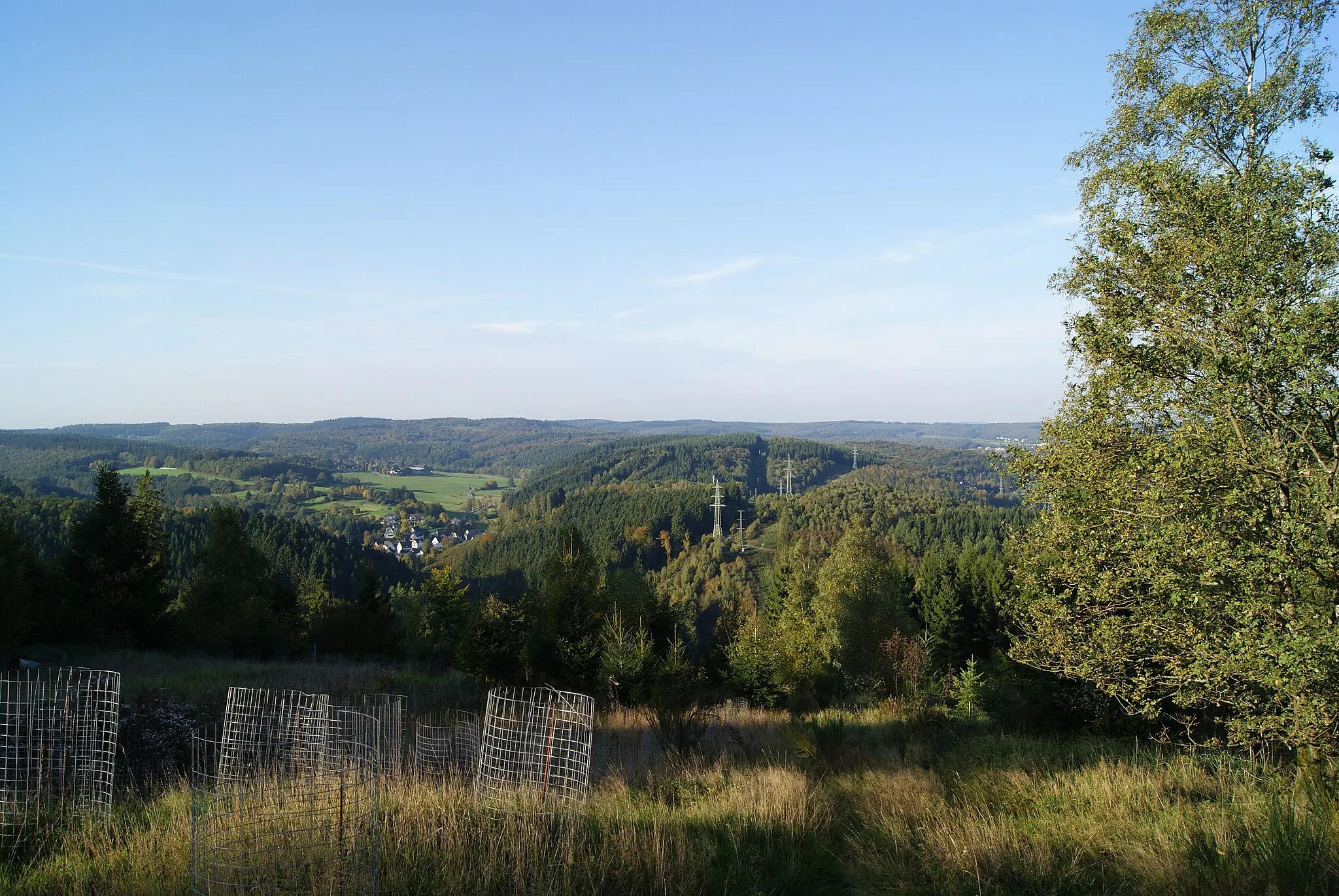 Photo showing: View to north, over Plittershagen and Alte Heide, Freudenberg, Germany. Front left: wire grating as protection for young trees (Pseudotsuga menziesii).