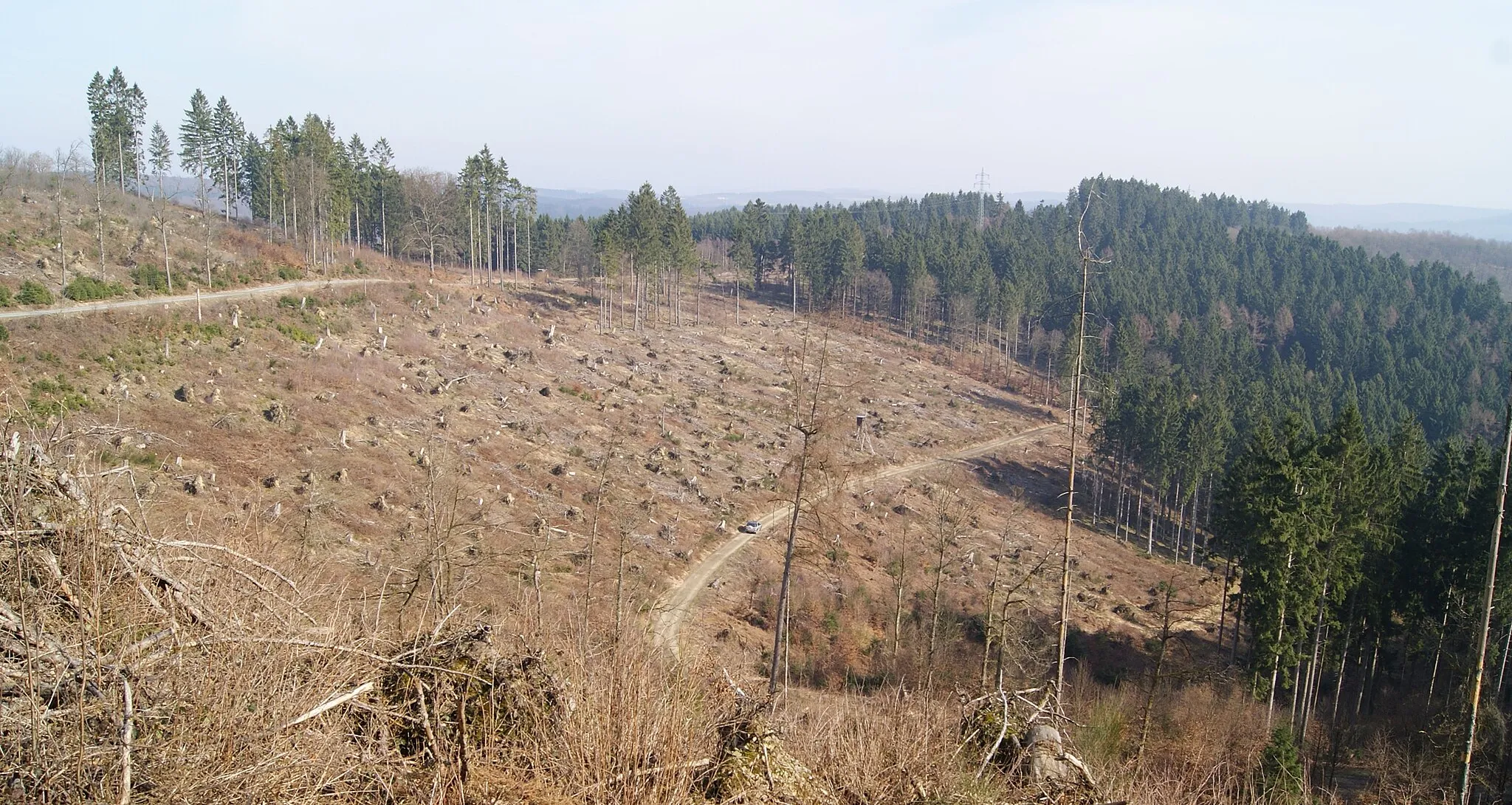 Photo showing: Plittershagen/Mt. Ginsberg (southern slope), Freudenberg, Germany. Deforested by Kyrill storm in 2007.