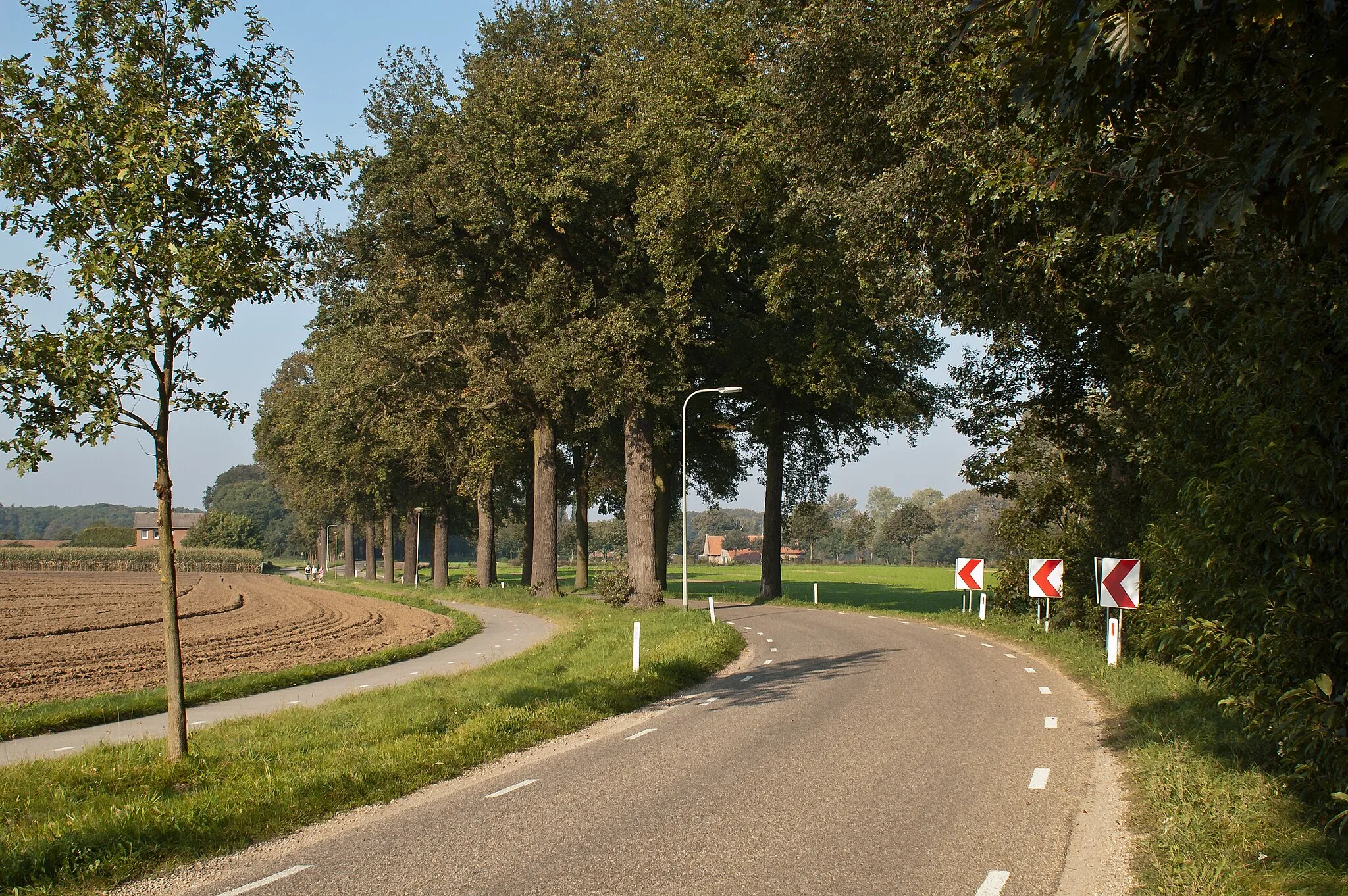 Photo showing: Alleebäume an der Straße zwischen Paarlo und St. Odilienberg in den Niederlanden, Blickrichtung St. Odilienberg