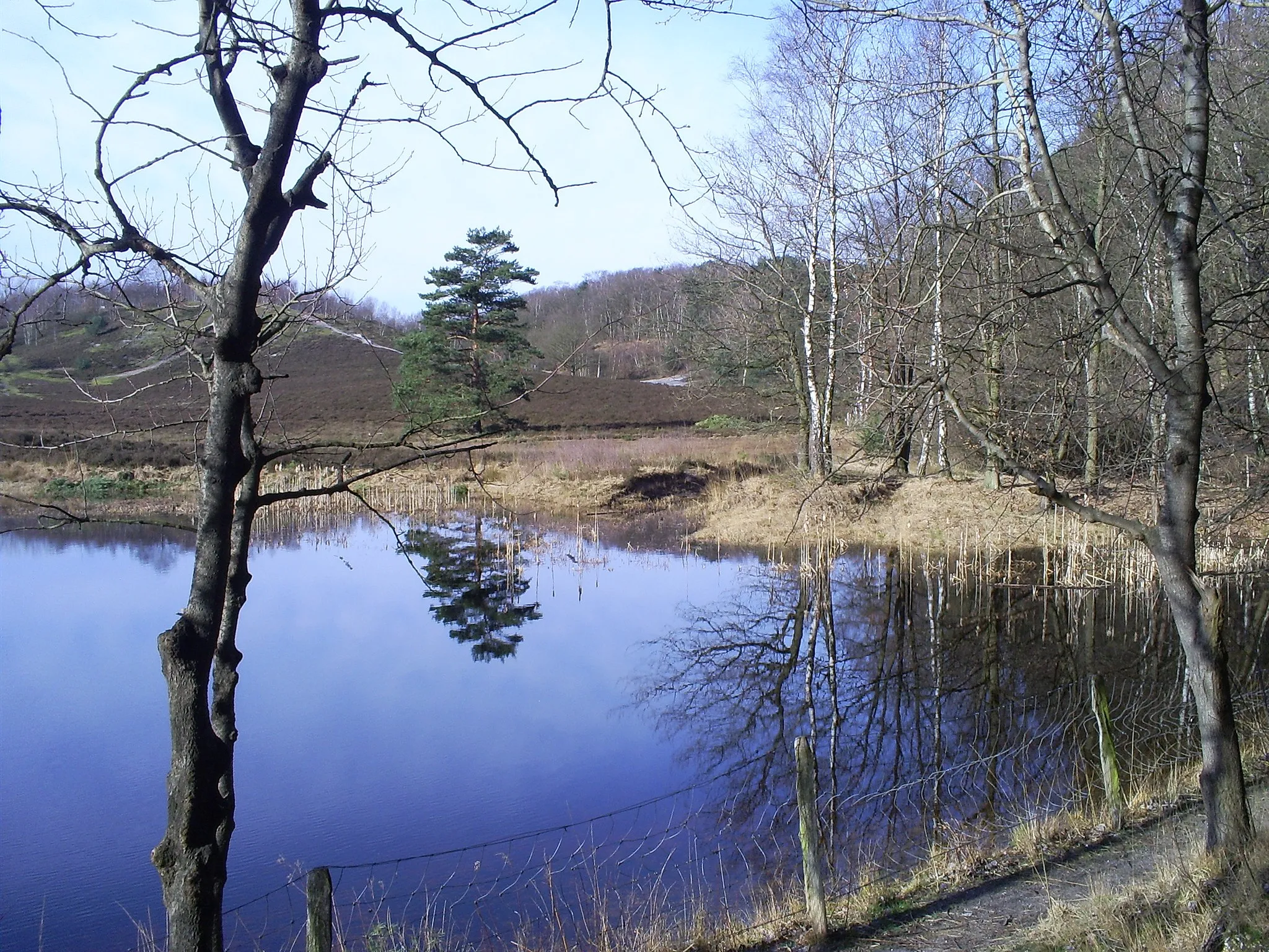 Photo showing: Schrieversheideven, Brunssummerheide, Heerlen, The Netherlands