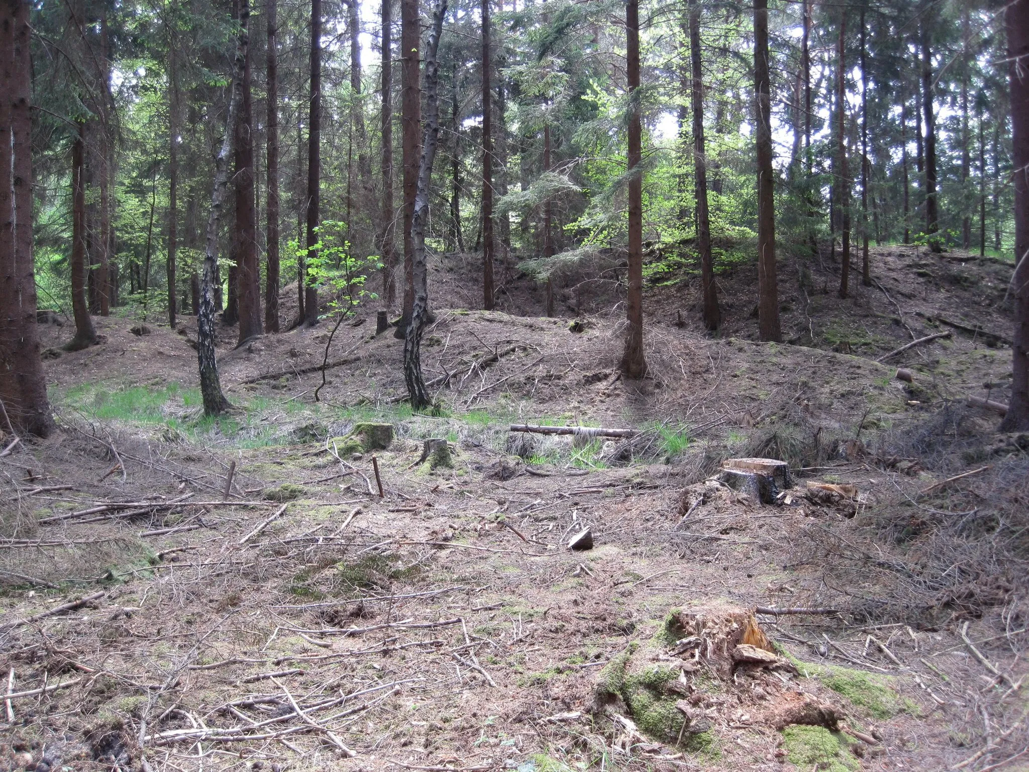 Photo showing: Remains of Galilei mines in Königsforst near Cologne