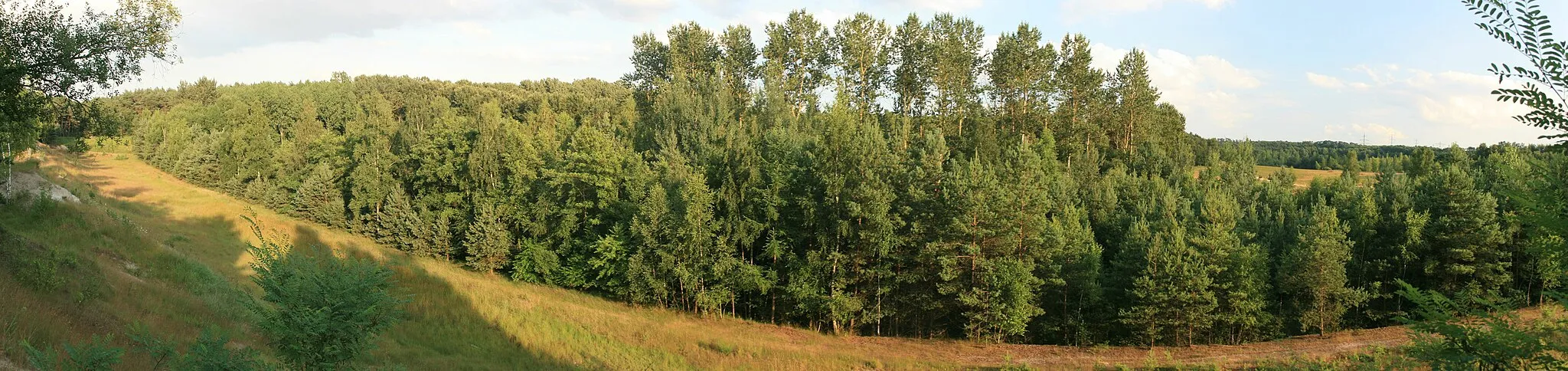 Photo showing: Panorama in der Teverener Heide nahe dem Rohrkolbensee