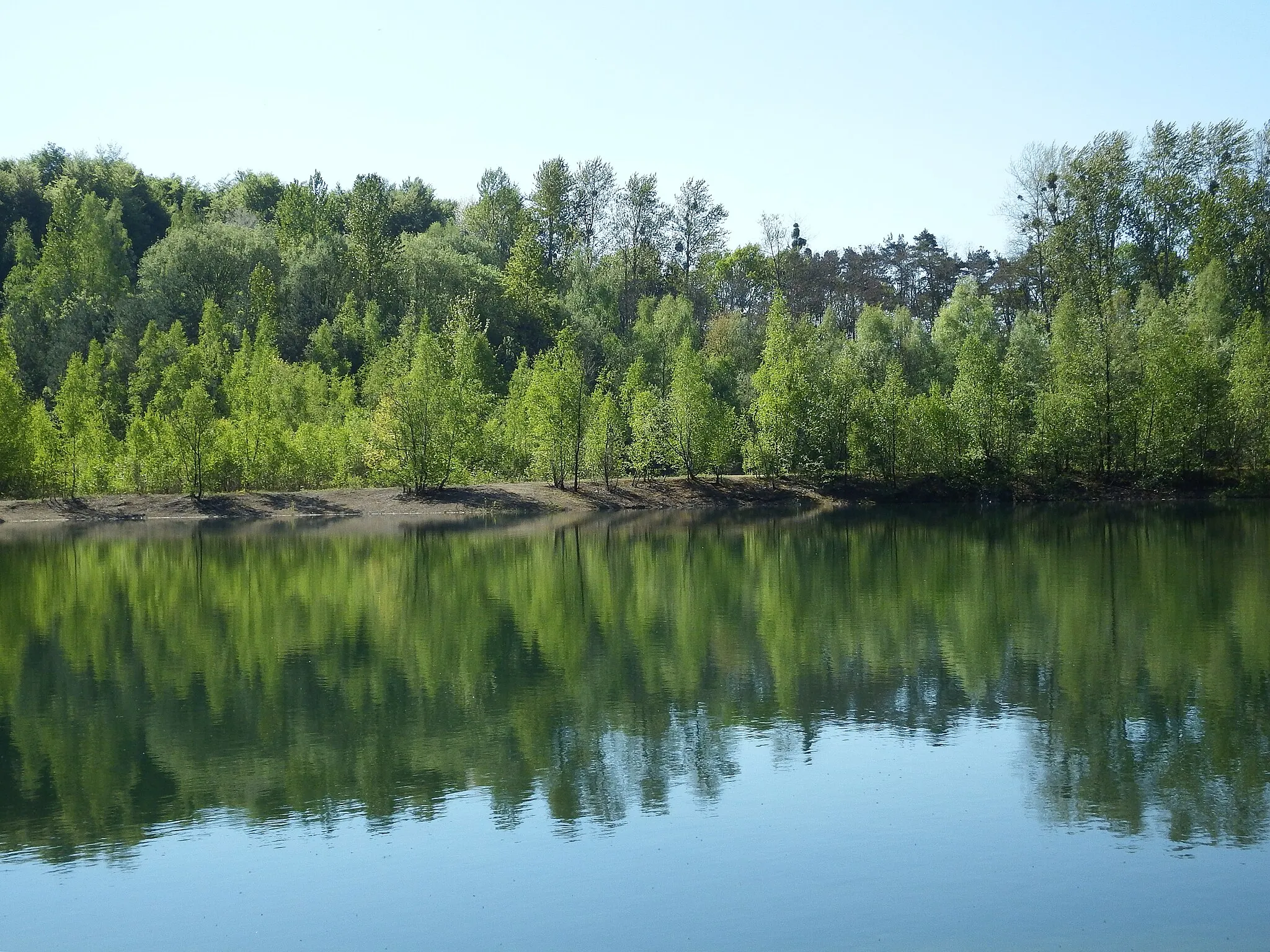 Photo showing: Naturschutzgebiet „Grube Cox“ zwischen Bergisch Gladbach und Bensberg: Spaziergänge bieten Erholung wie im Urlaub.