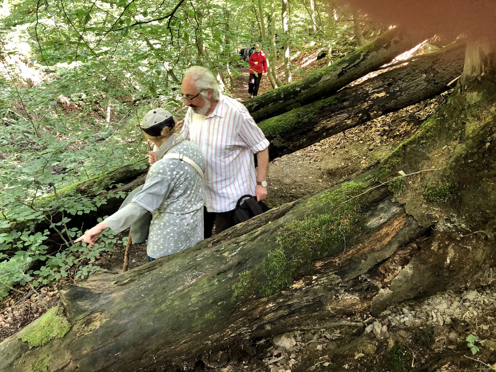 Photo showing: Hike to the Ratingen city forest.