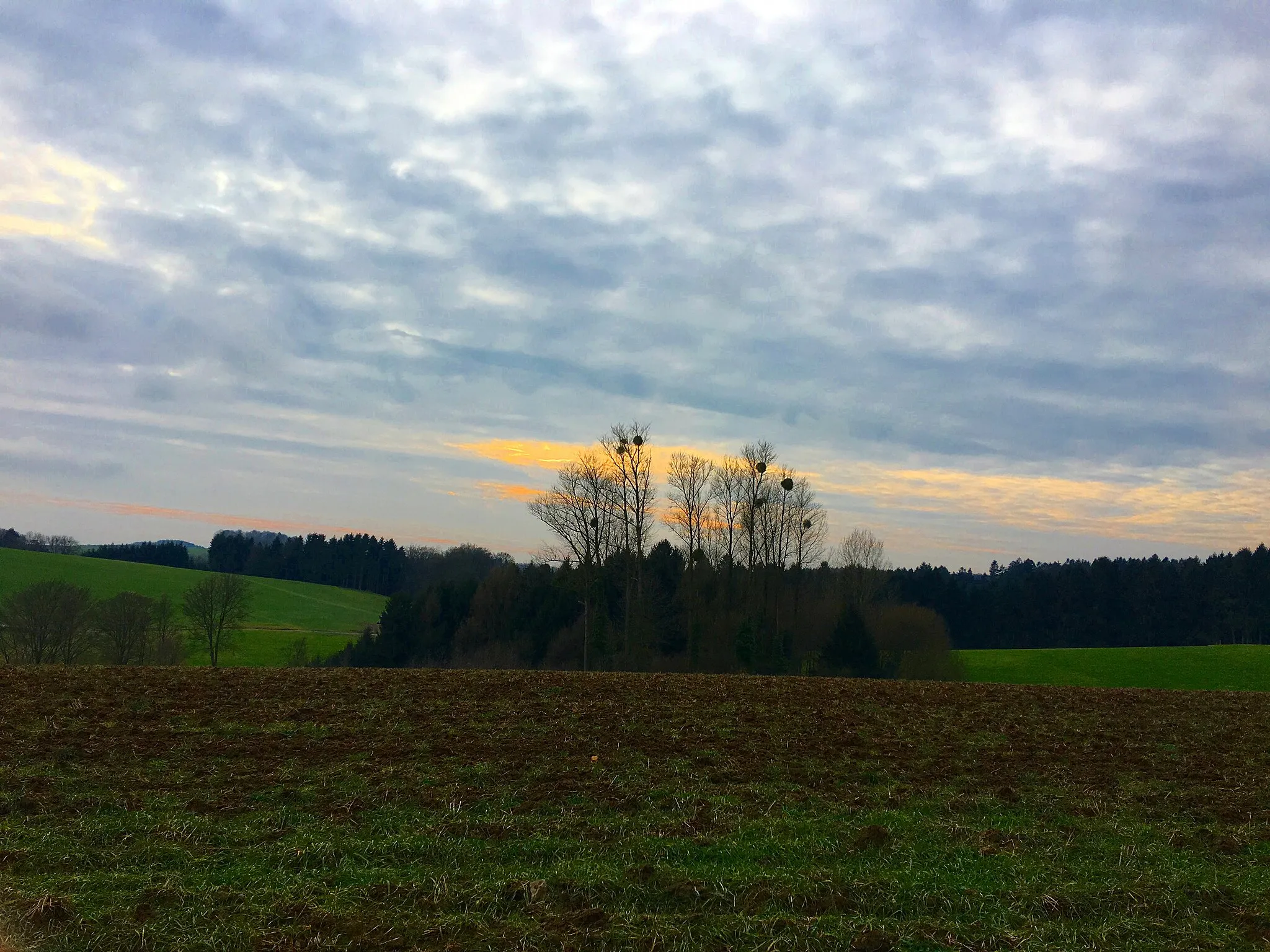 Photo showing: Landschaft bei Griessiefen (Overath, NRW)