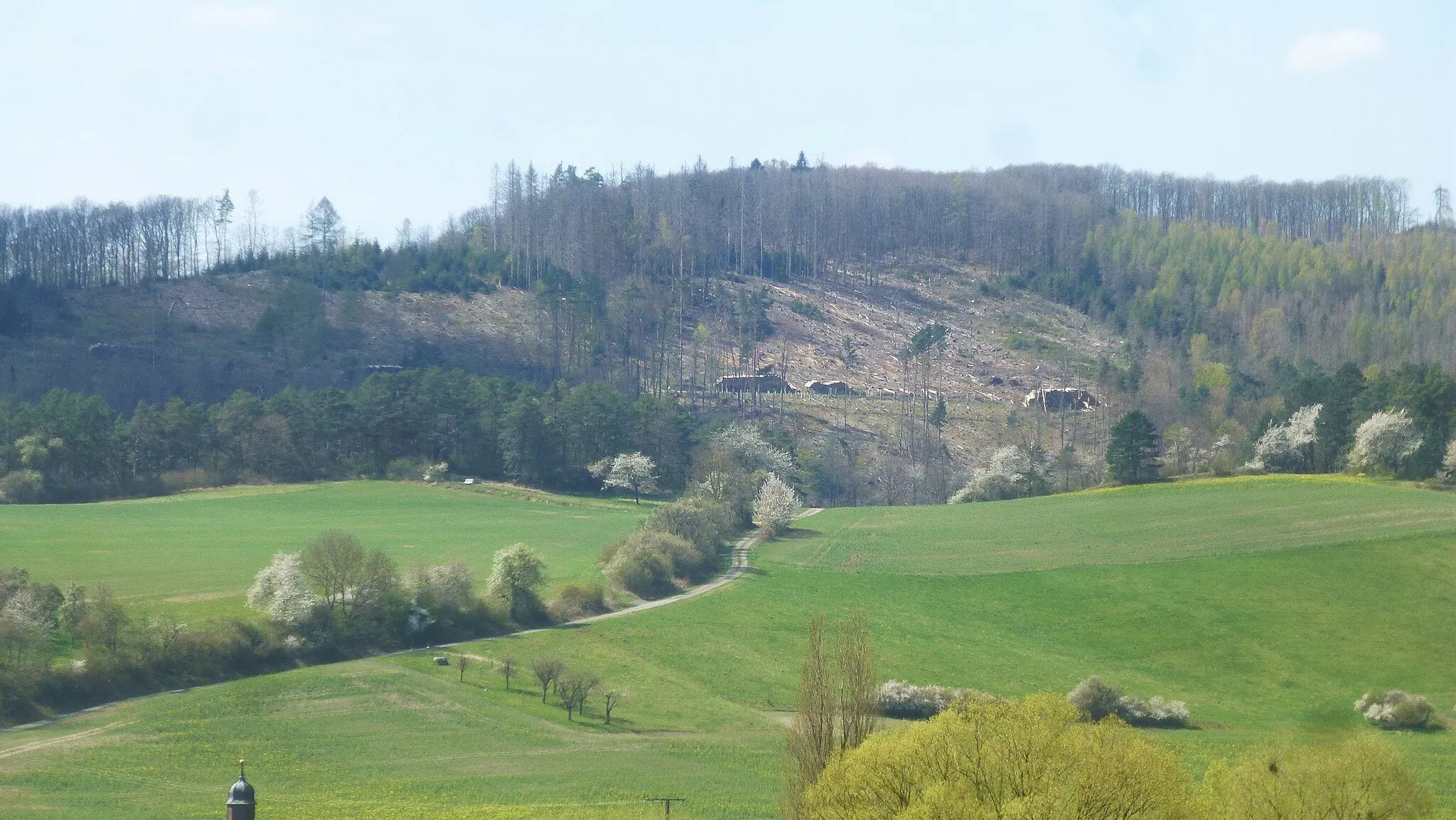 Photo showing: Blick vom Fuß der Webelsburg über Fretterode und den Hasenwinkel zum Höheberg (vermutlich gerodeter Fichtenwald nach den letzten Trockenjahren)