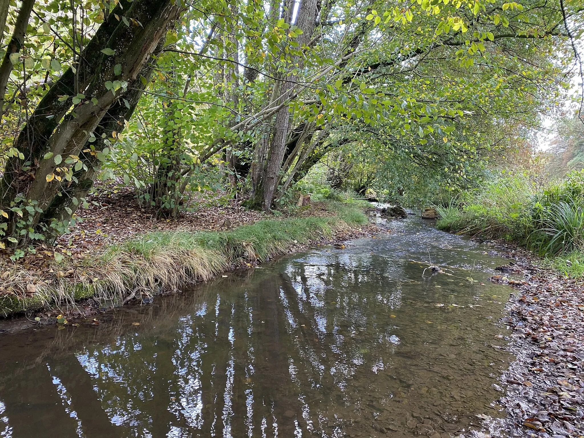 Photo showing: Hommerbach im Naturschutzgebiet Kalsbachtal