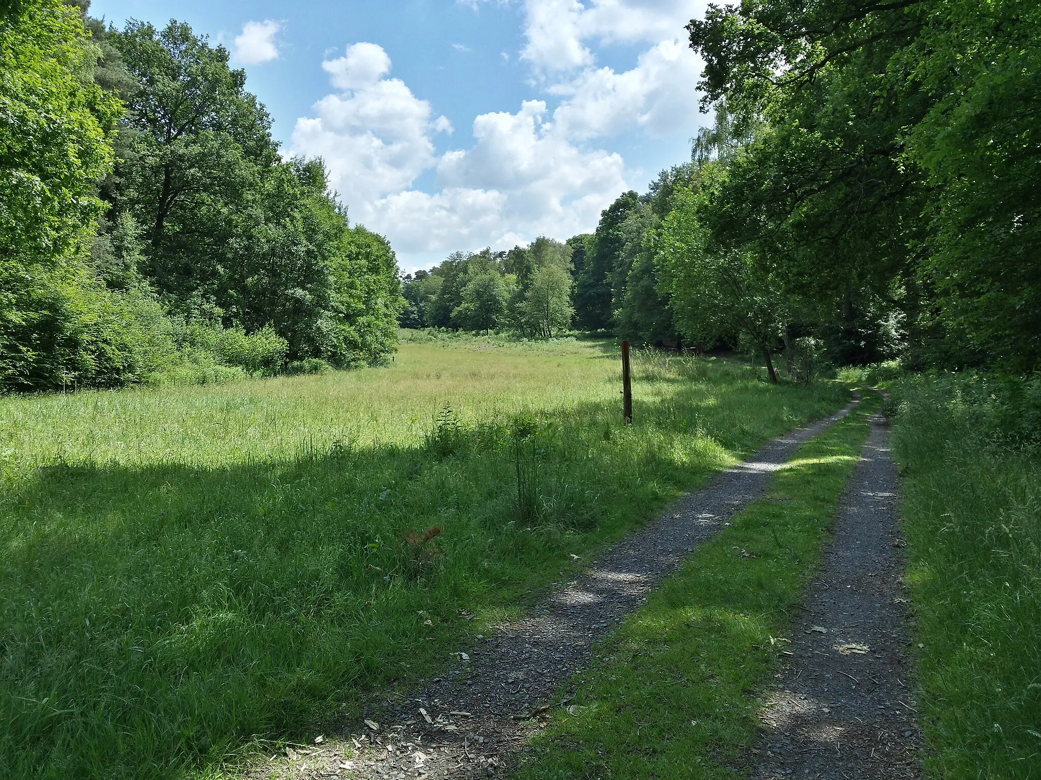 Photo showing: Weg „An der Hasbacher Wiese“ im Naturschutzgebiet „Wahner Heide“ in Rösrath