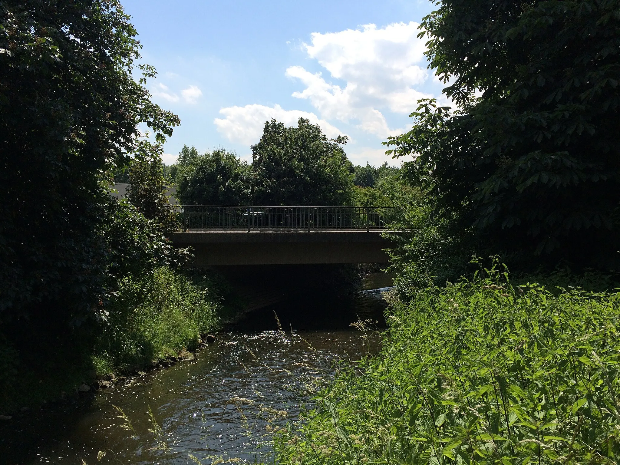 Photo showing: Der Wurmauenpark ist eine Grünanlage im Südwesten von Geilenkirchen, einer mittleren kreisangehörigen Stadt im Kreis Heinsberg in Nordrhein-Westfalen.