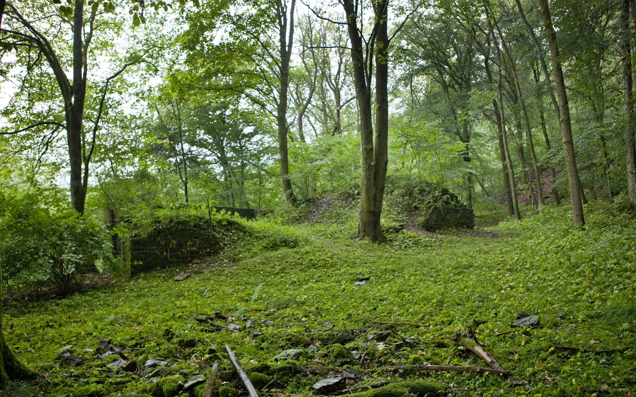 Photo showing: Ruine im Oberbergischen 51674 Wiehl, Ruine Bieberstein bei Brüchermühle. Die Ruine liegt rechts auf dem Weg von Oberwiehl nach Denklingen.