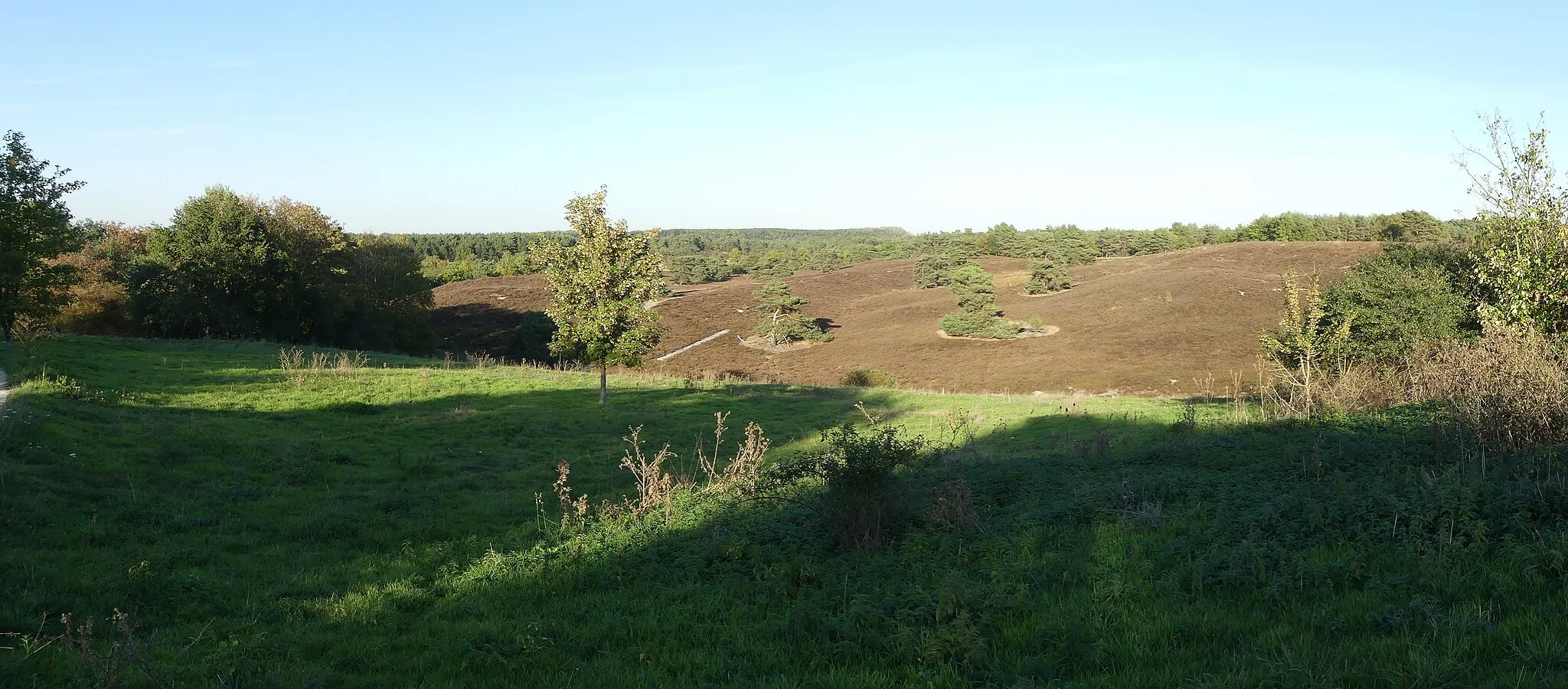 Photo showing: Zicht op een deel van het natuurgebied de Brunssummerheide