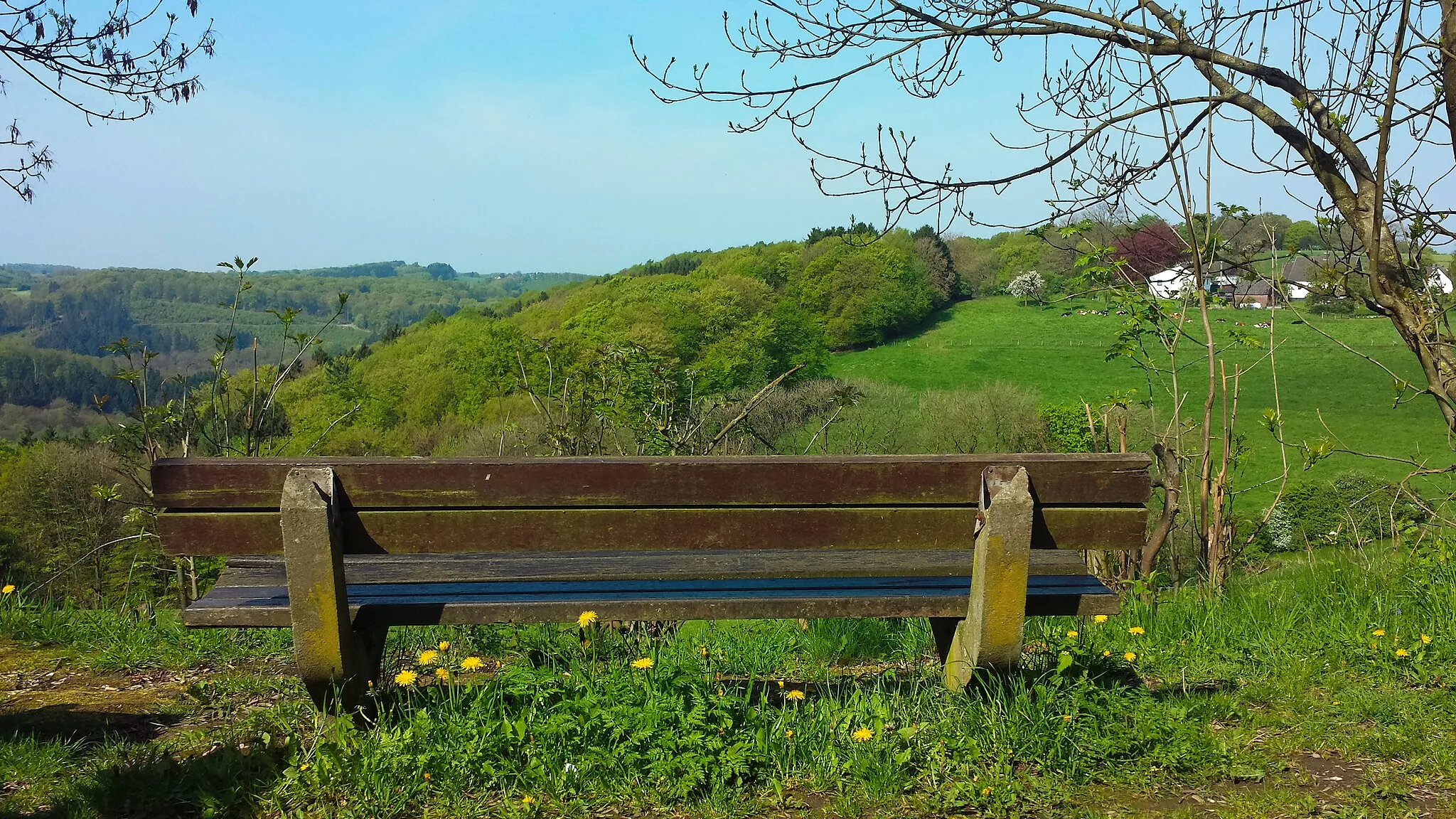 Photo showing: Bank am Wanderweg am Bilstein, Ennepetal