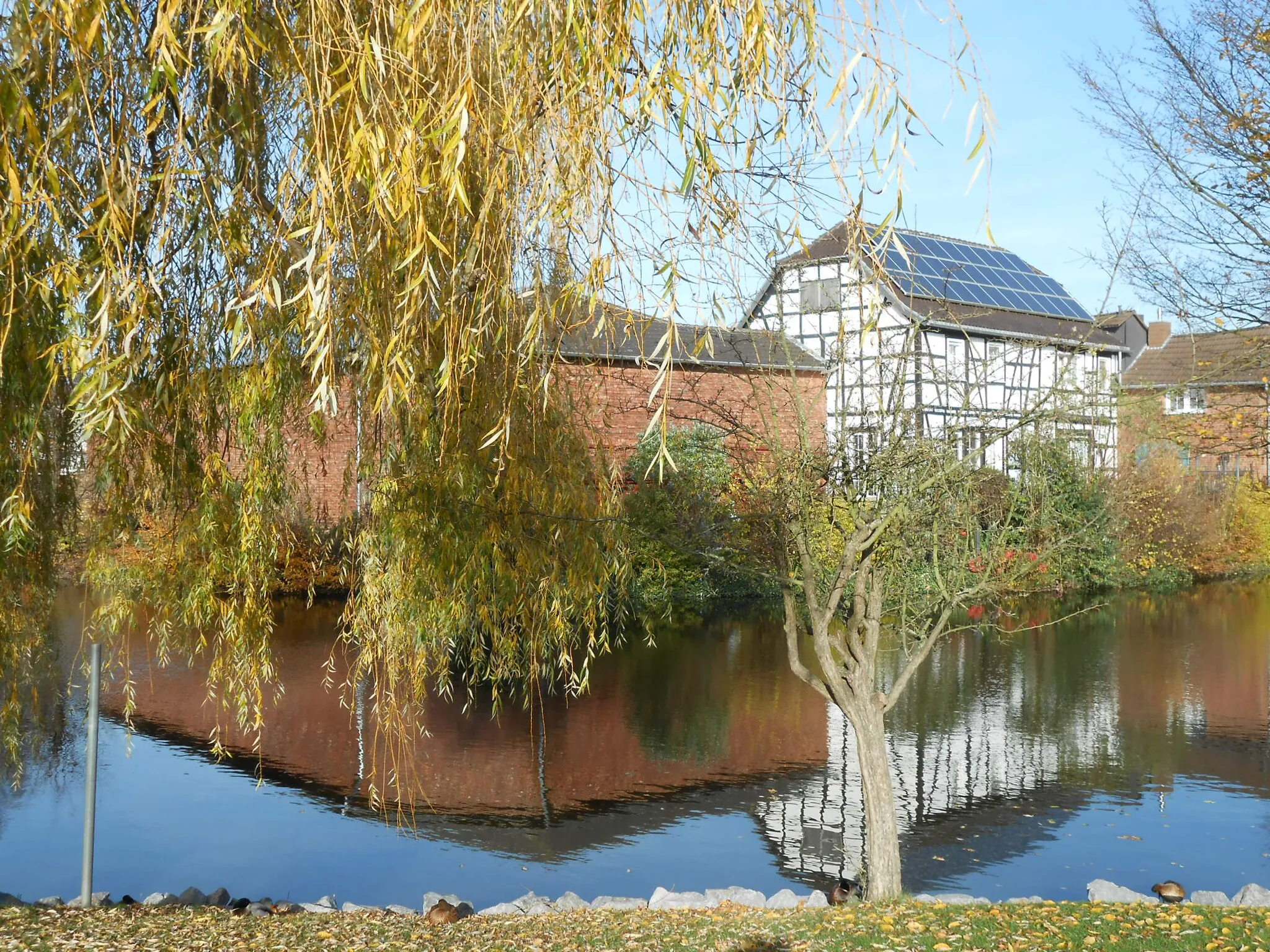 Photo showing: Burgweiher (Swisttal-Buschhoven)