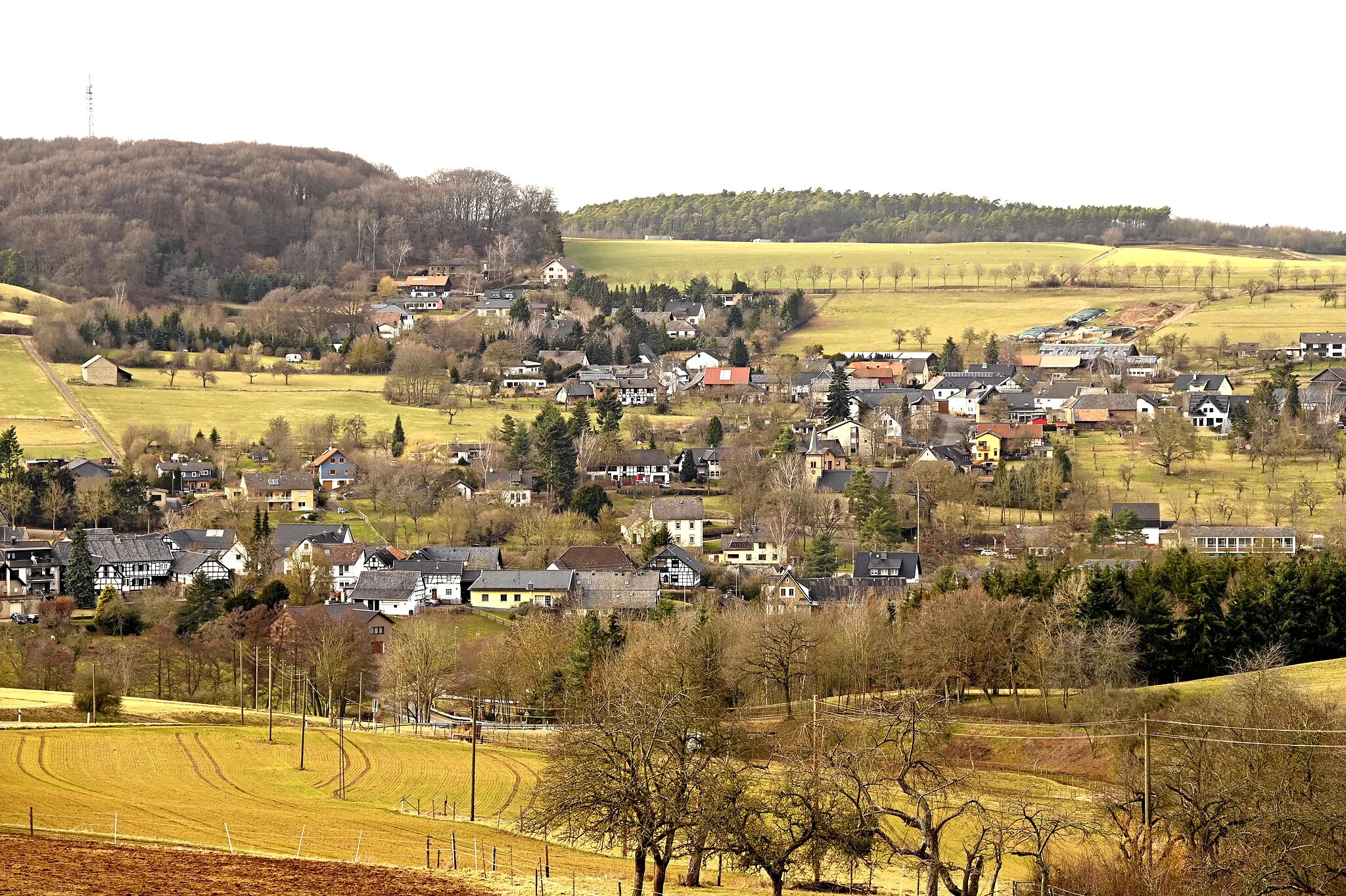 Photo showing: Pesch (Nettersheim) von Süden