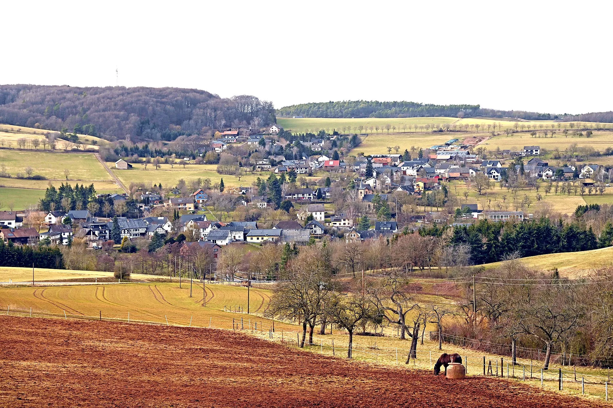 Photo showing: Pesch (Nettersheim) von Süden