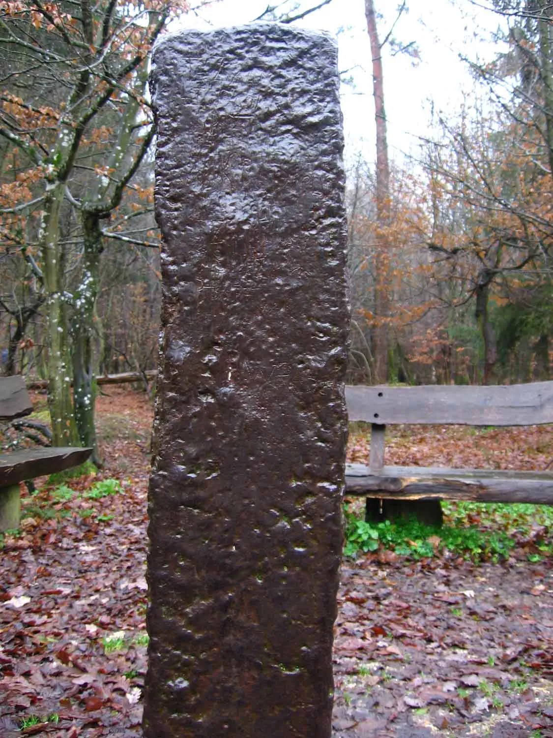 Photo showing: Der Eiserne Mann (Iron Mann) located in Kottenforst-Ville nature reserve Germany. Taken by Chris Walters on vacation at 50.70757N by 006.96105E on .