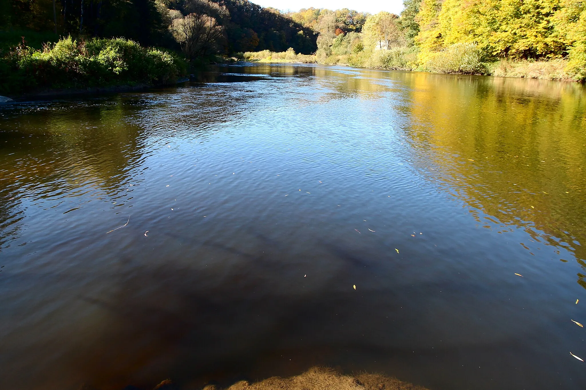 Photo showing: Die Mündung der Nister (links) in die Sieg bei Wissen, Landkreis Altenkirchen, Rheinland-Pfalz