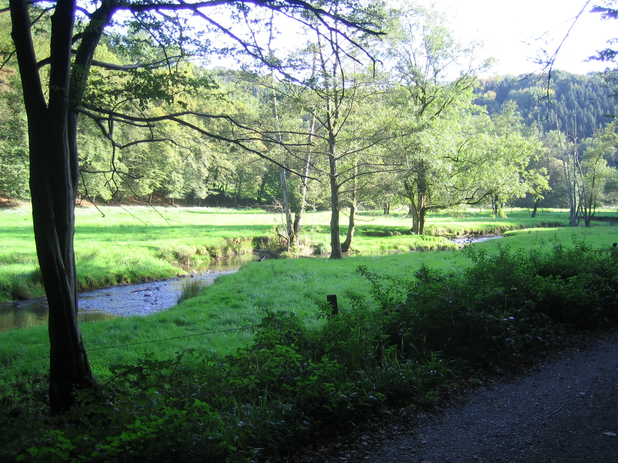 Photo showing: Aue des Naafbaches irgendwo im Rhein-Sieg-Kreis oder im Rheinisch-Bergischen Kreis, Nordrhein-Westfalen