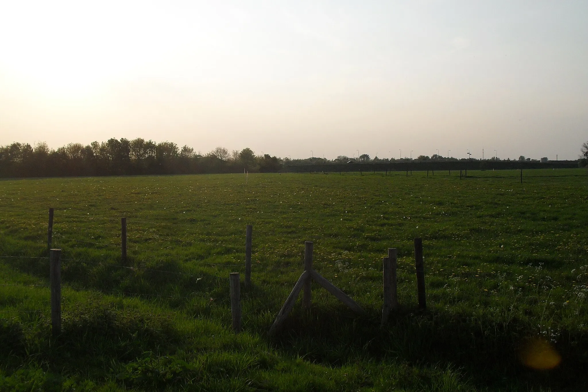 Photo showing: Asenray Field
