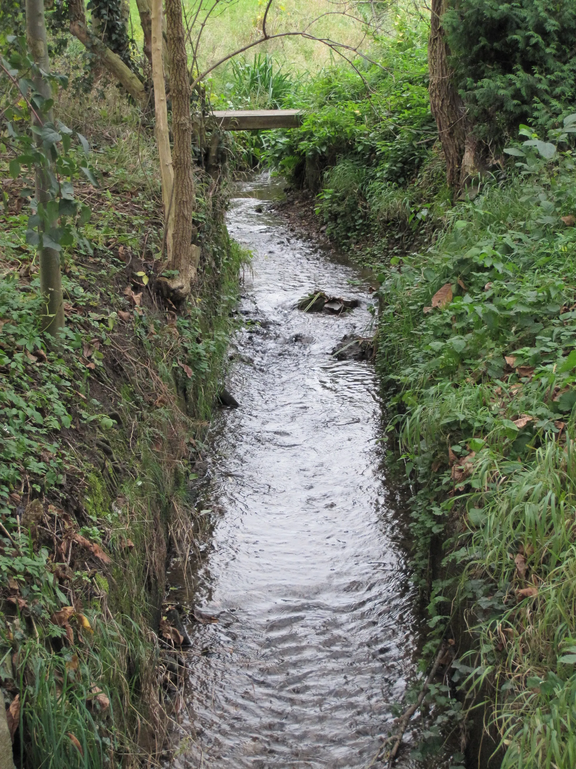 Photo showing: Görresbach am Stühleshof vor Eintritt in erneute Verrohrung.