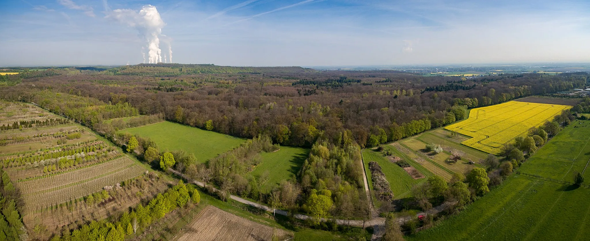 Photo showing: Blick auf den Königsdorfer Forst (NSG)