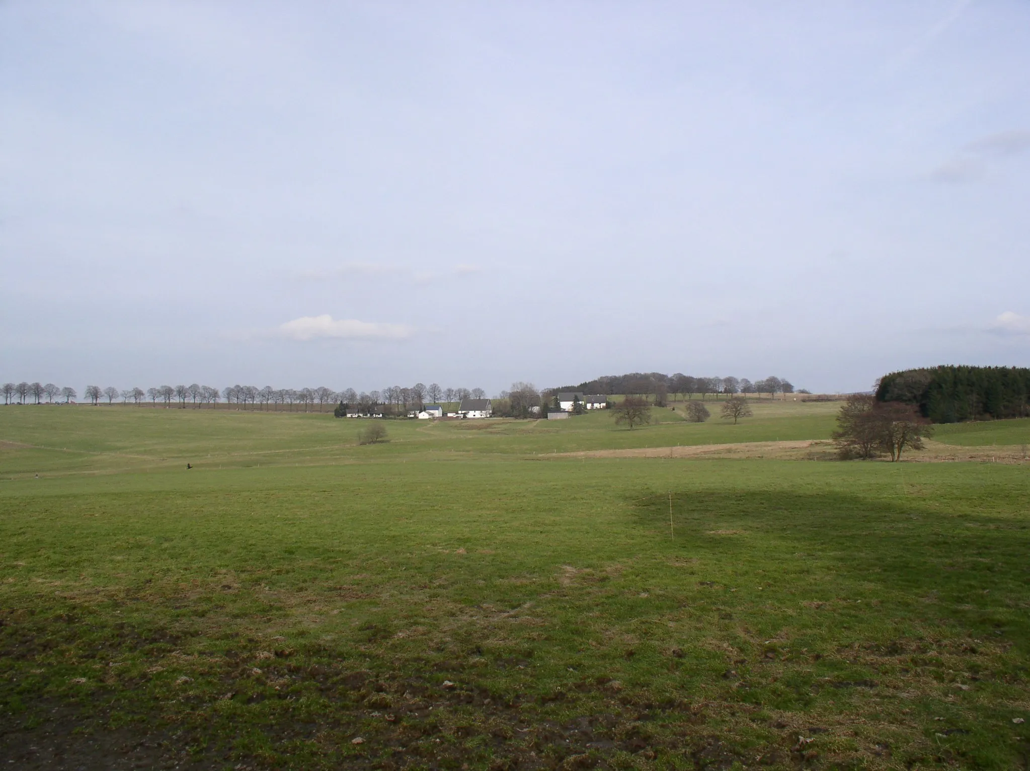 Photo showing: Blick auf Halveraner Ortschaft Burg. Auf den Wiesen/Weiden davor befinden sich die Ennepequellen.