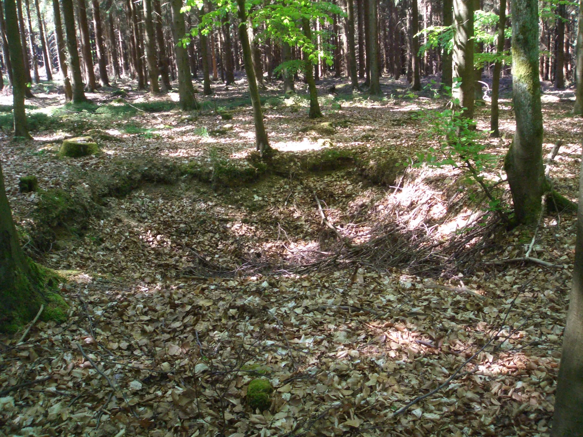 Photo showing: A bomb crater at the Buhlert as a trace of the Second World War in the Hurtgen Forest in the northern Eifel.