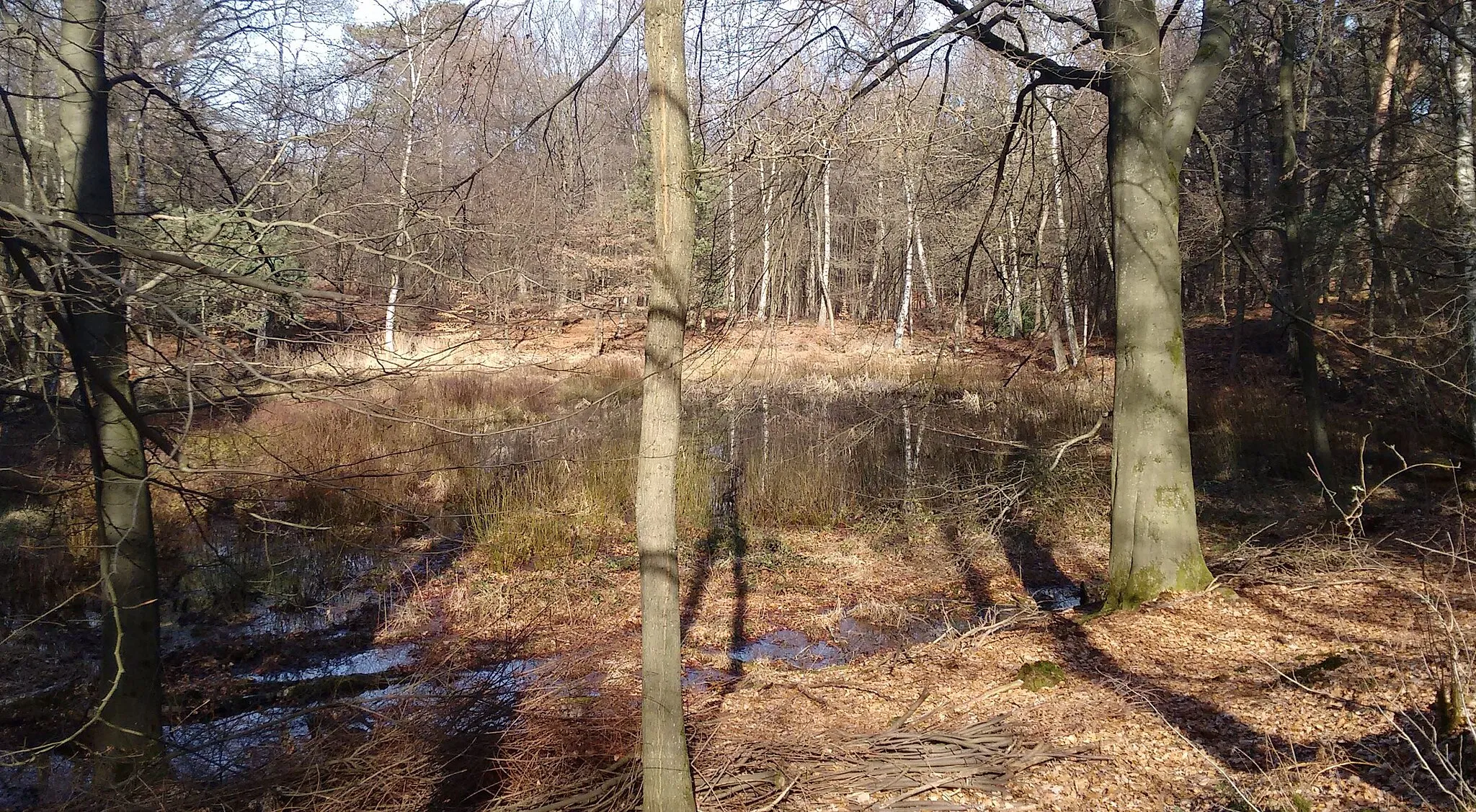 Photo showing: Der Kronenweiher ist ein Weiher in der Wahner Heide. Er ist natürlichen Ursprungs, als abgetorftes Moor aber stark durch den Menschen geprägt.