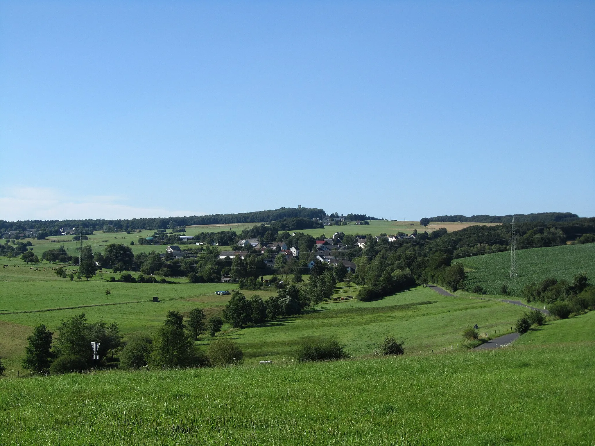 Photo showing: Der Beulskopf (388) im Westerwald mit dem Raiffeisenturm von Süden. Im Vordergrund Busenhausen