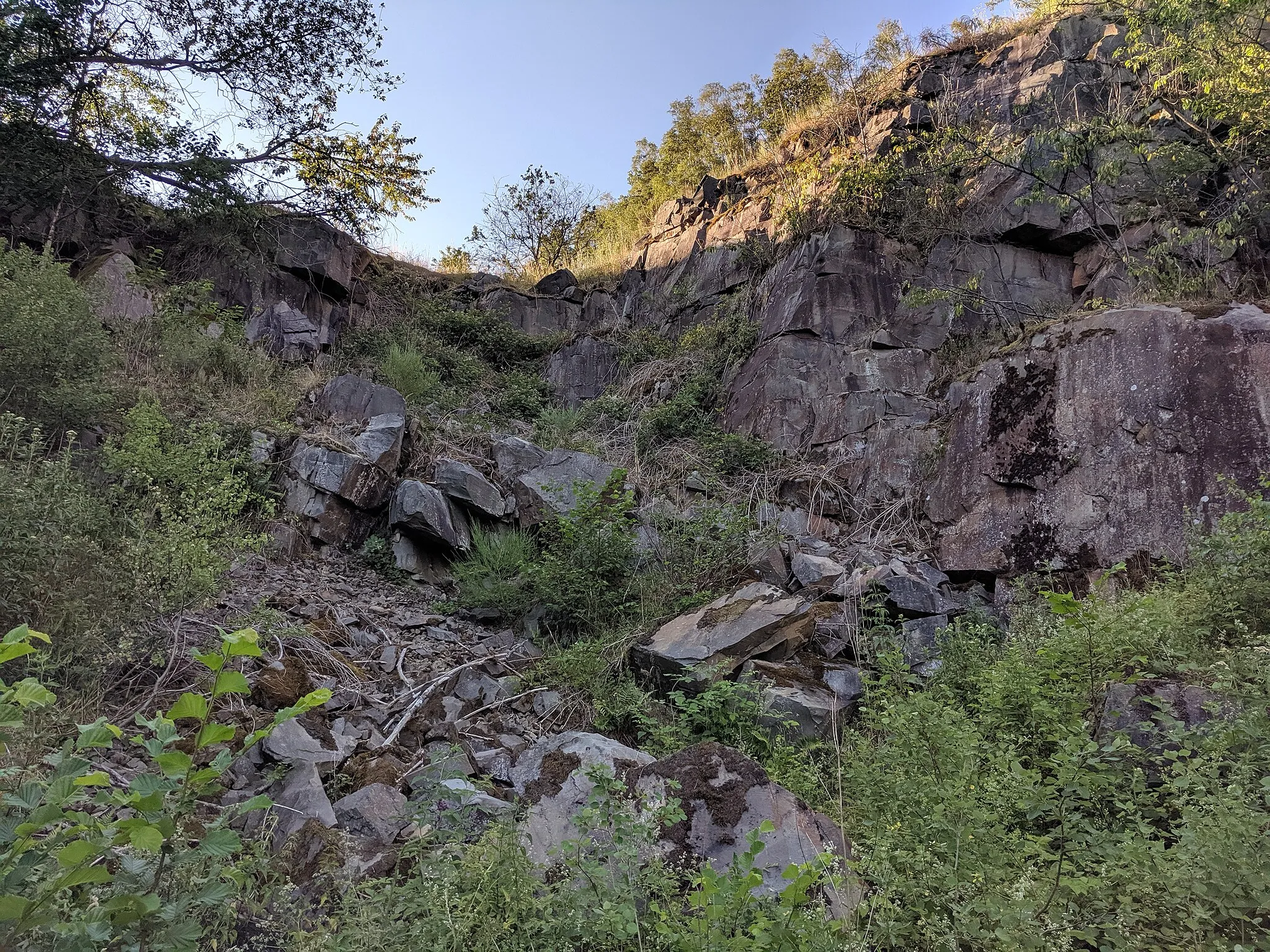 Photo showing: Alter Grauwacke Steinbruch - jetzt ein ausgewiesenes Naturschutzgebiet