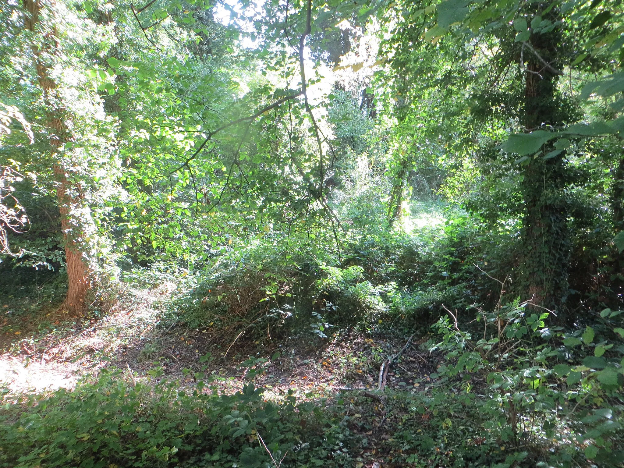 Photo showing: very few remains of the "Motte Brempt"