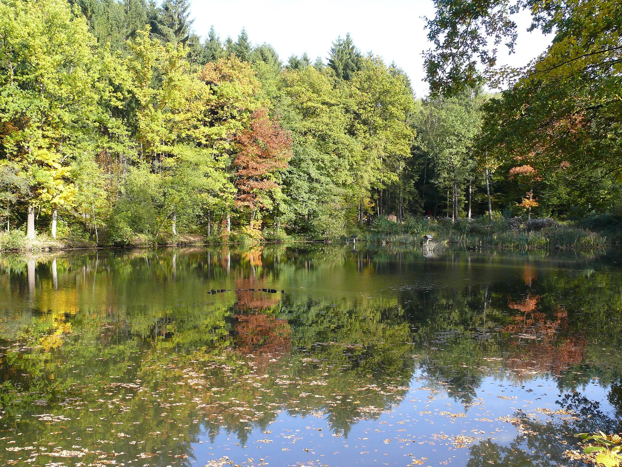 Photo showing: Witches ponds near by Spreitgen Nümbrecht