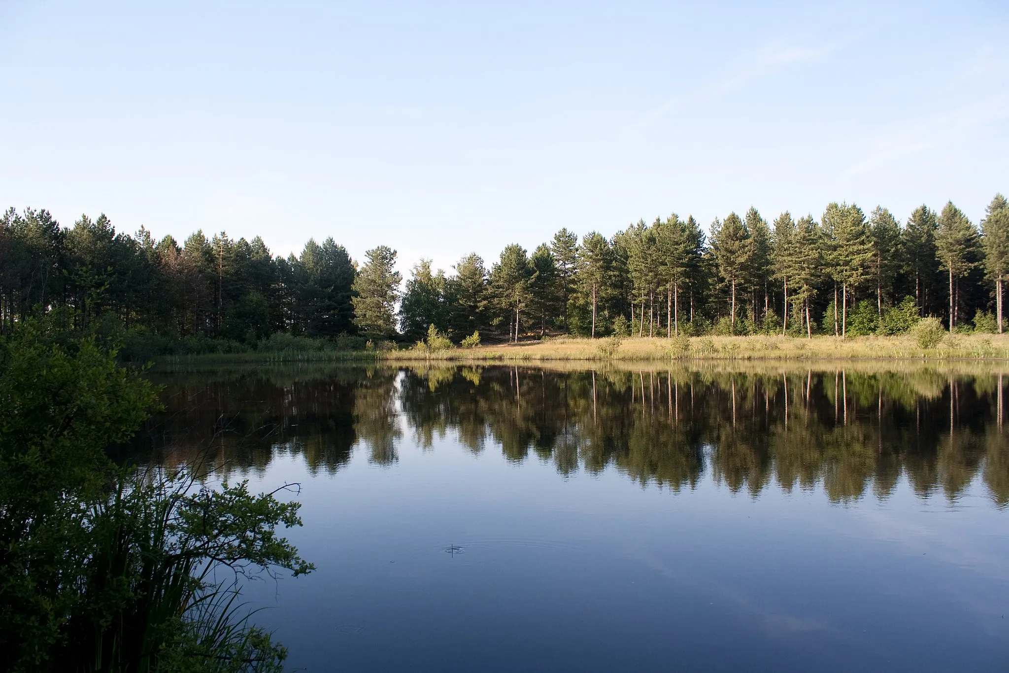 Photo showing: Teverener Heide - Kiefernsee, Geilenkirchen