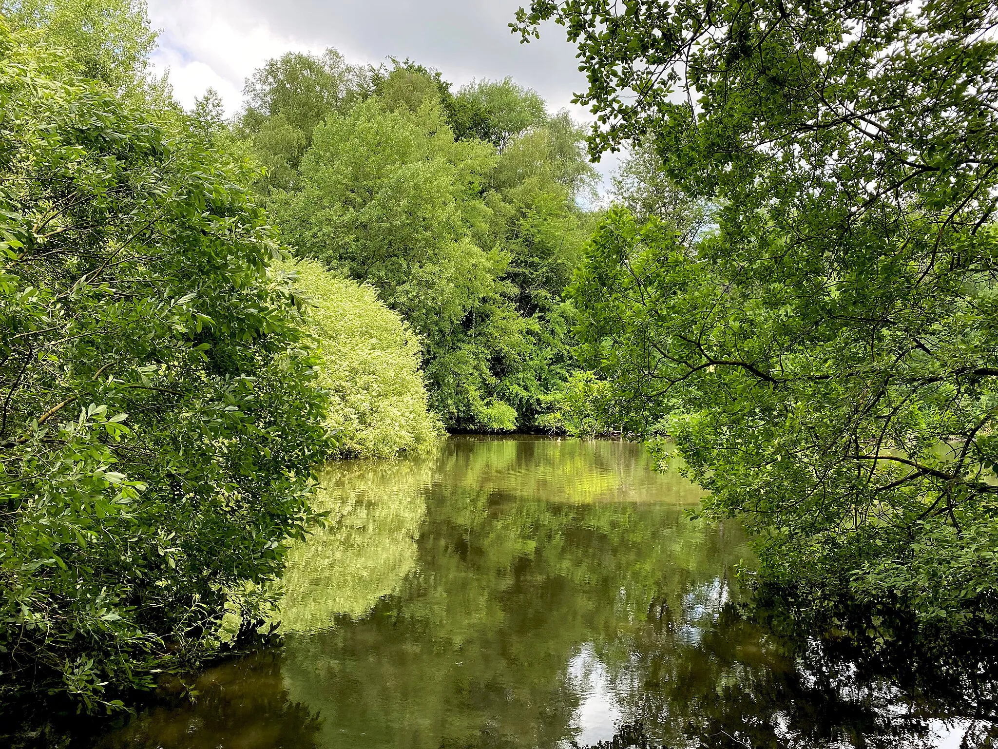 Photo showing: Naturschutzgebiet Hilgener Ziegeleiloch