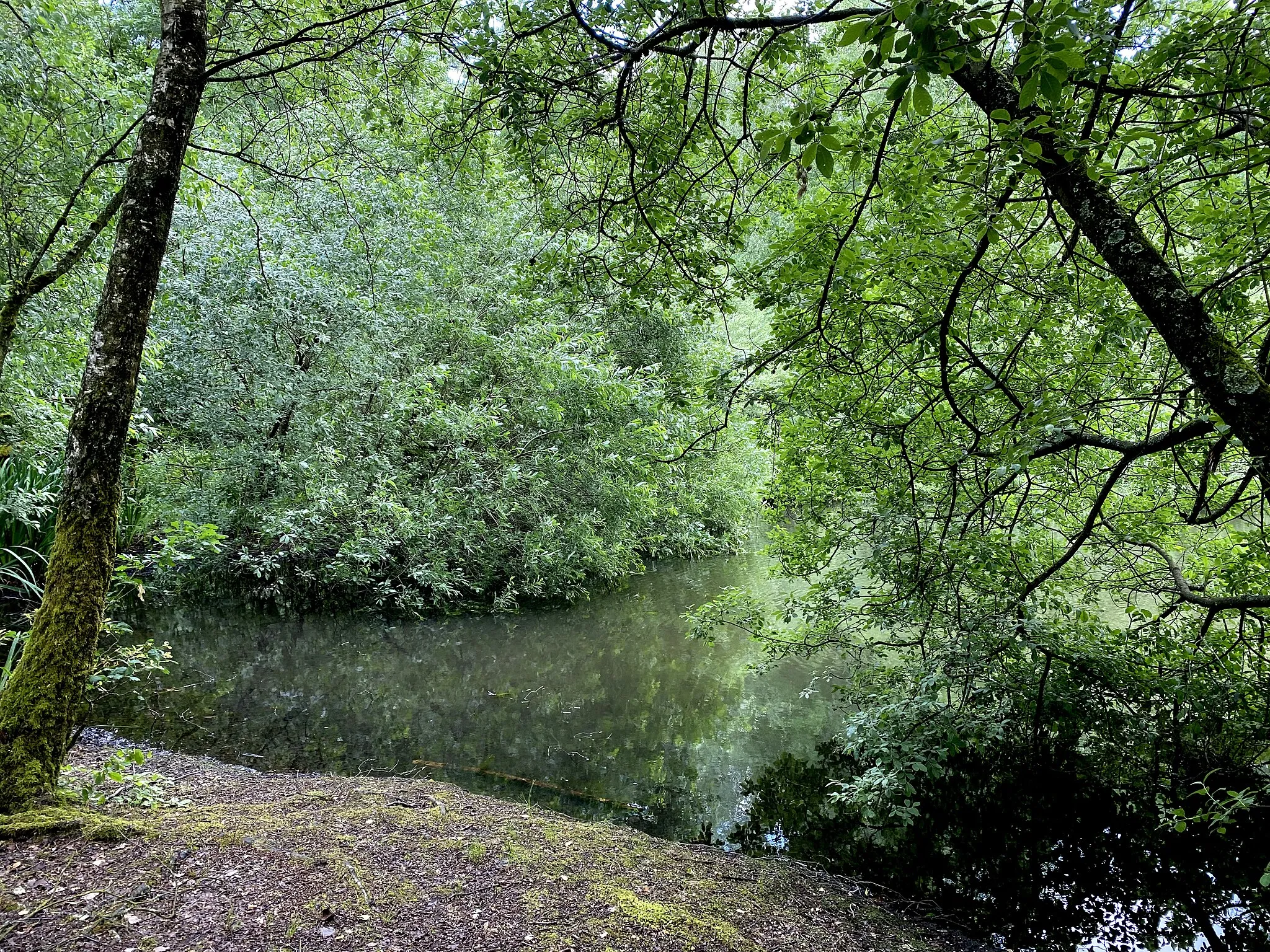 Photo showing: Naturschutzgebiet Hilgener Ziegeleiloch