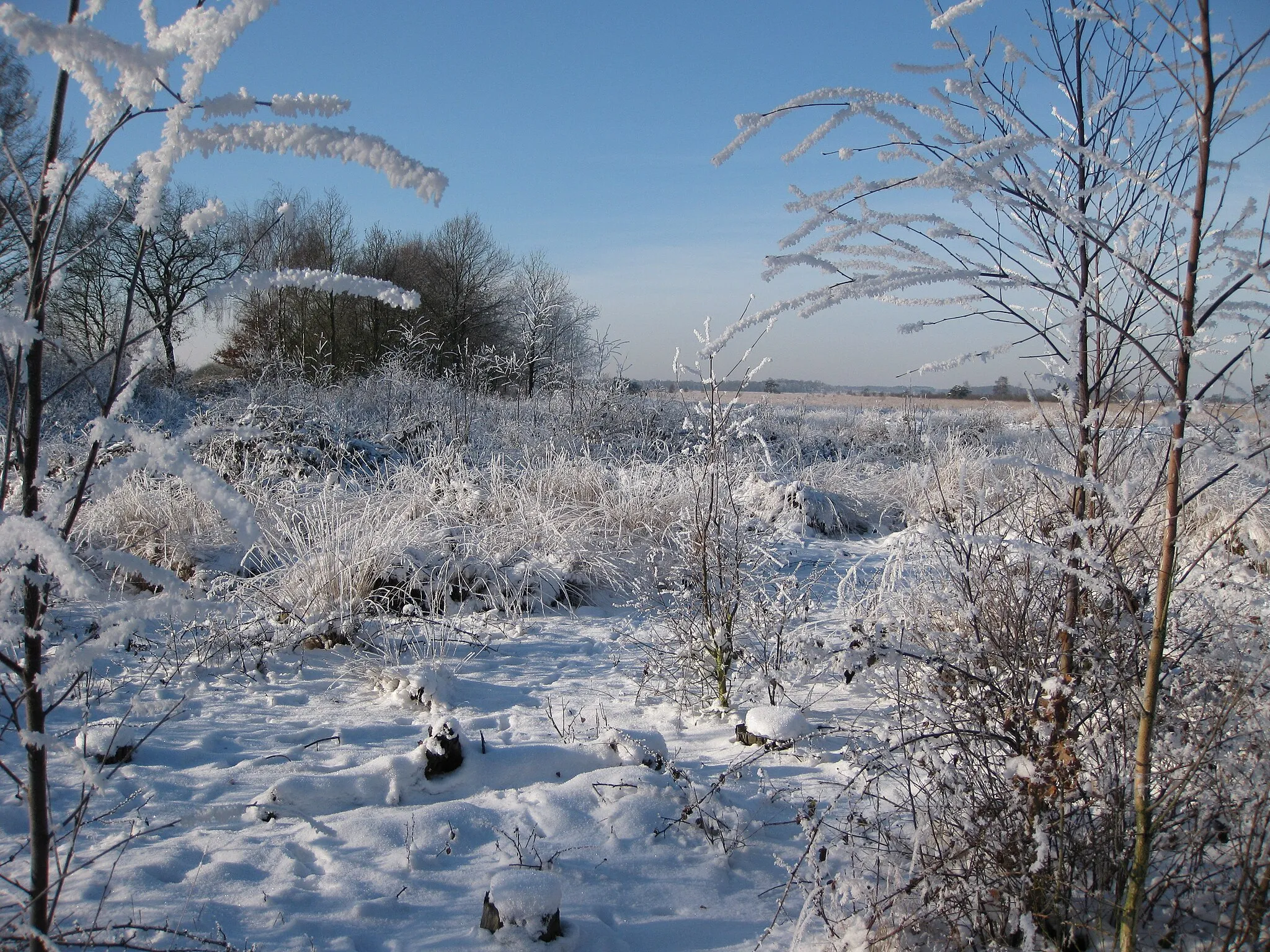 Photo showing: winterplaatje