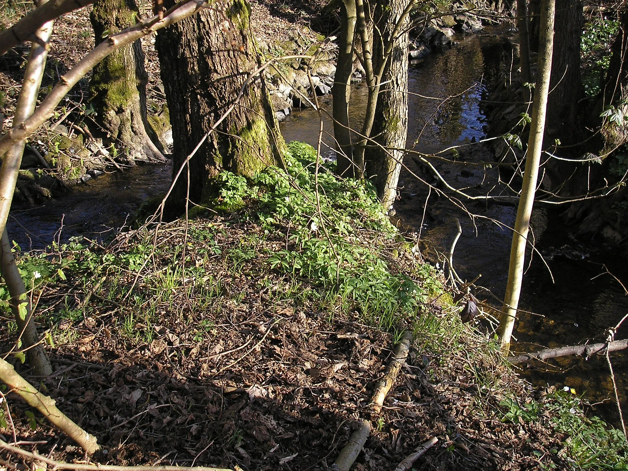 Photo showing: Der Rieferather Bach mündet in den Ottersbach und wird dann Halfterbach genannt. Das linke Bachufer gehört zur Gemeinde Windeck, das rechte Ufer zur Gemeinde Eitorf.