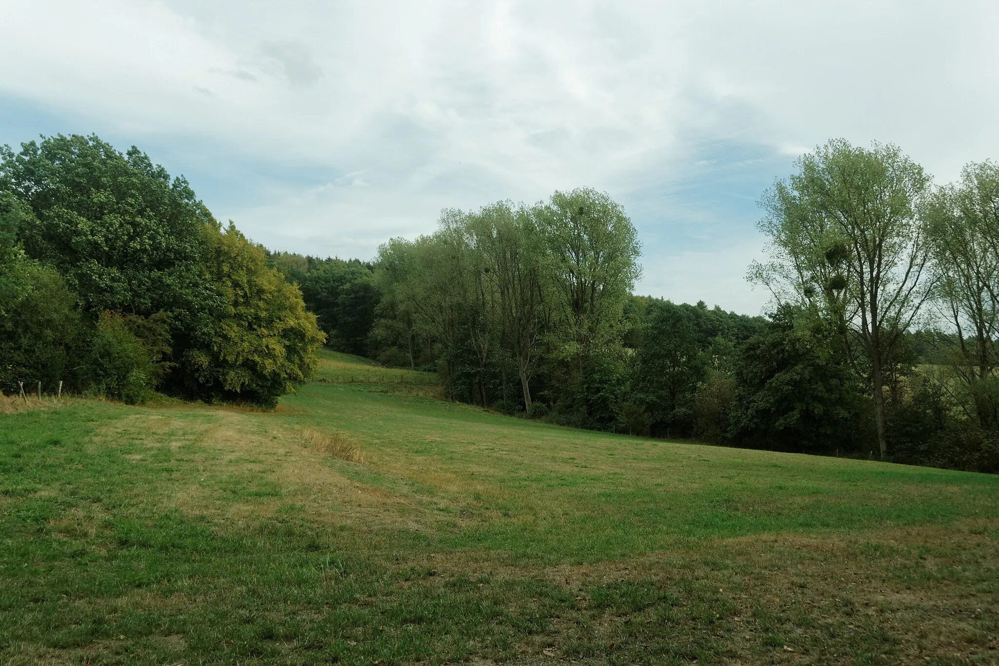 Photo showing: Landschaftsschutzgebiet Zwischen Vicht und Mausbach