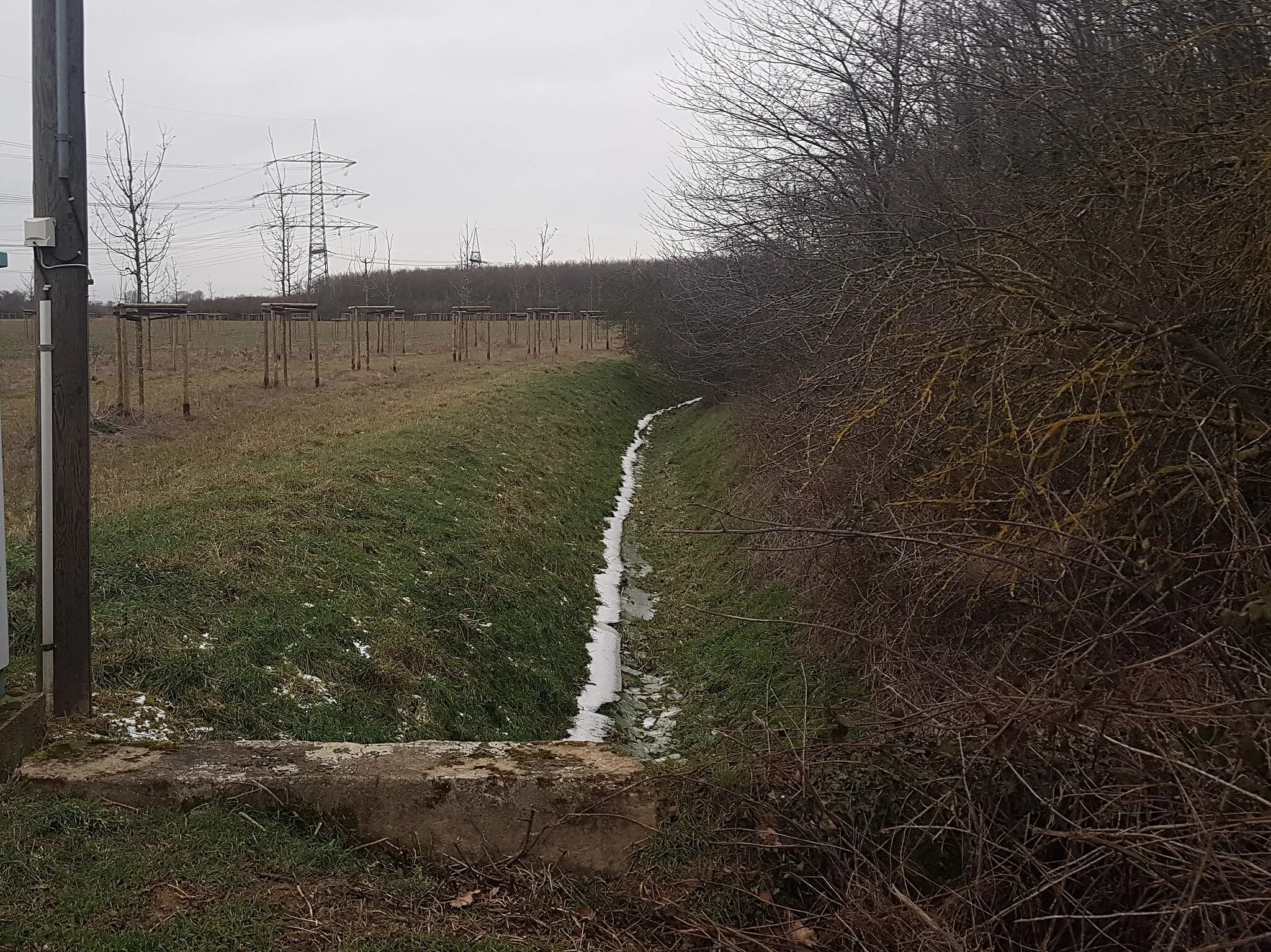 Photo showing: Durch den niedrigen Grundwasserspiegel führt der Iktebach nur sehr selten Wasser. Anfang/Mitte Februar 2021 führten ergiebige Regenfälle in Verbindung mit gefrorenem Boden dazu, dass der Bach mehrere Tage lang Wasser führte, auf welchem sich eine Eisschicht bildete. Dieses Bild zeigt die Reste des Eises nach Versickern bzw. Abfließen des Wassers.