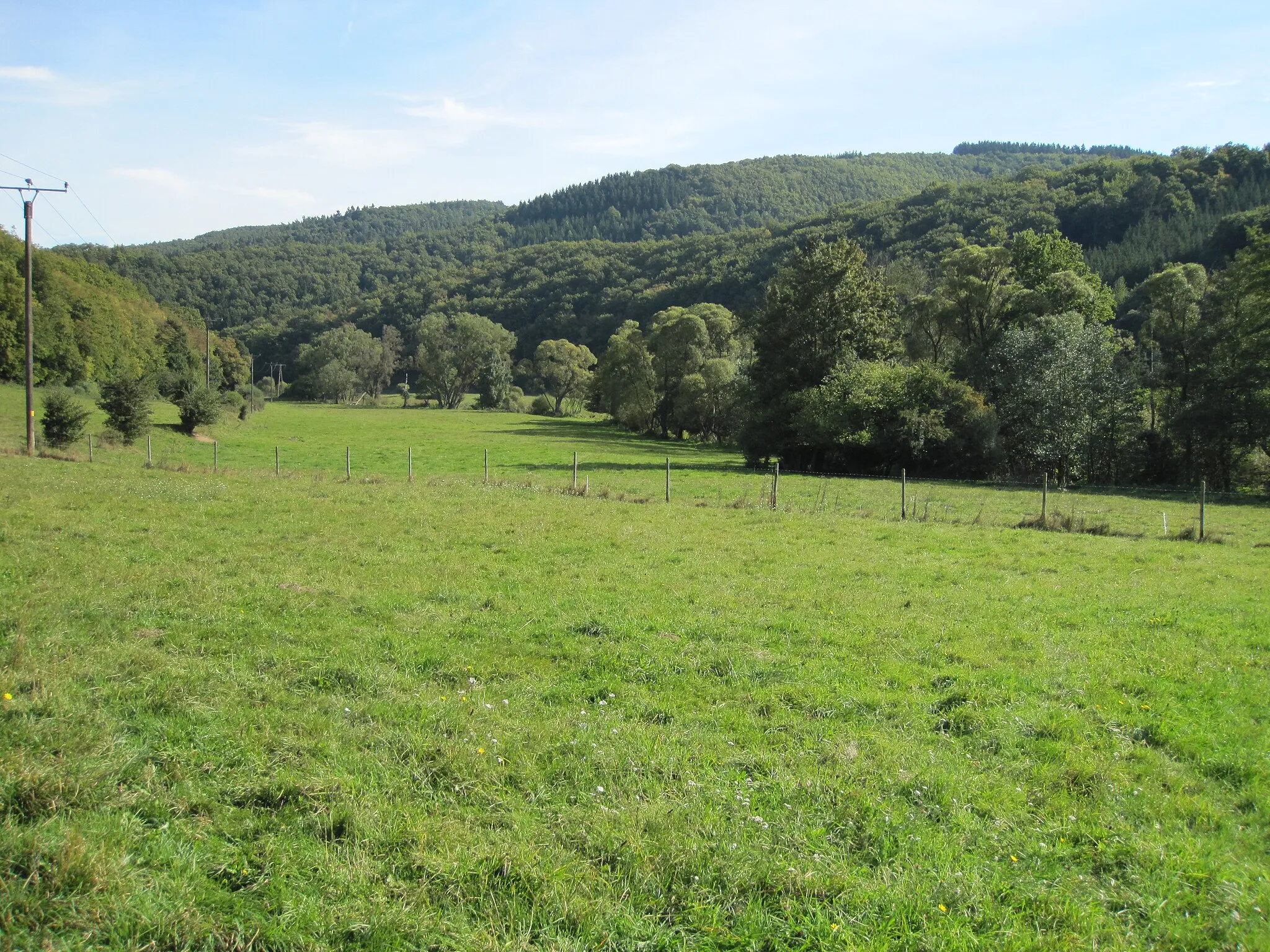 Photo showing: Sahrbachtal bei Burgsahr