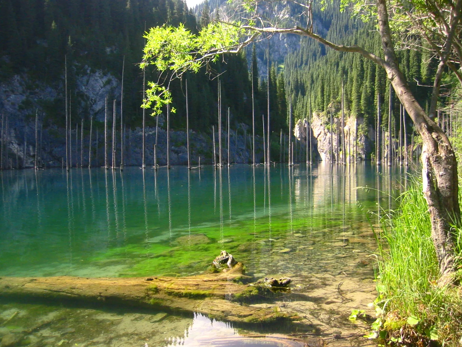 Photo showing: Kaindy lake in south-east of Kazakhstan. The mountain lakes like this form after the landslide blocks the mountain river. The trunks are dead Picea schrenkiana trees.