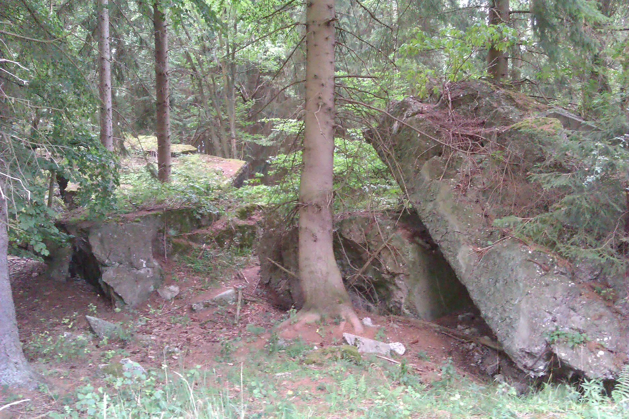 Photo showing: Remainings of the "Felsennest". Not the Bunkers in Rodert, but the Bunkers near Forsthaus Huelloch.