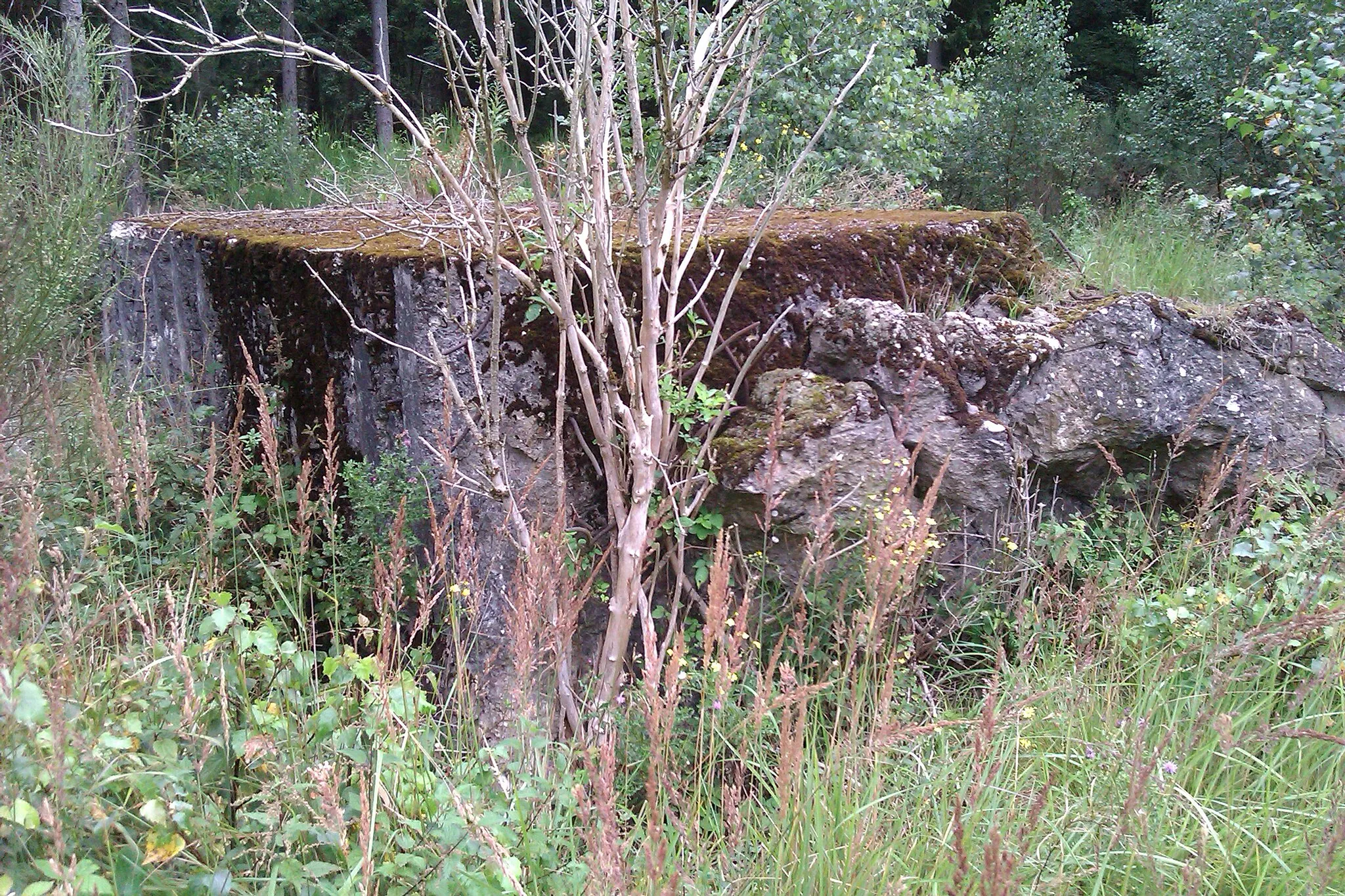 Photo showing: Remaing of a bunker of the Felsennest, close to Forsthaus Hülloch.