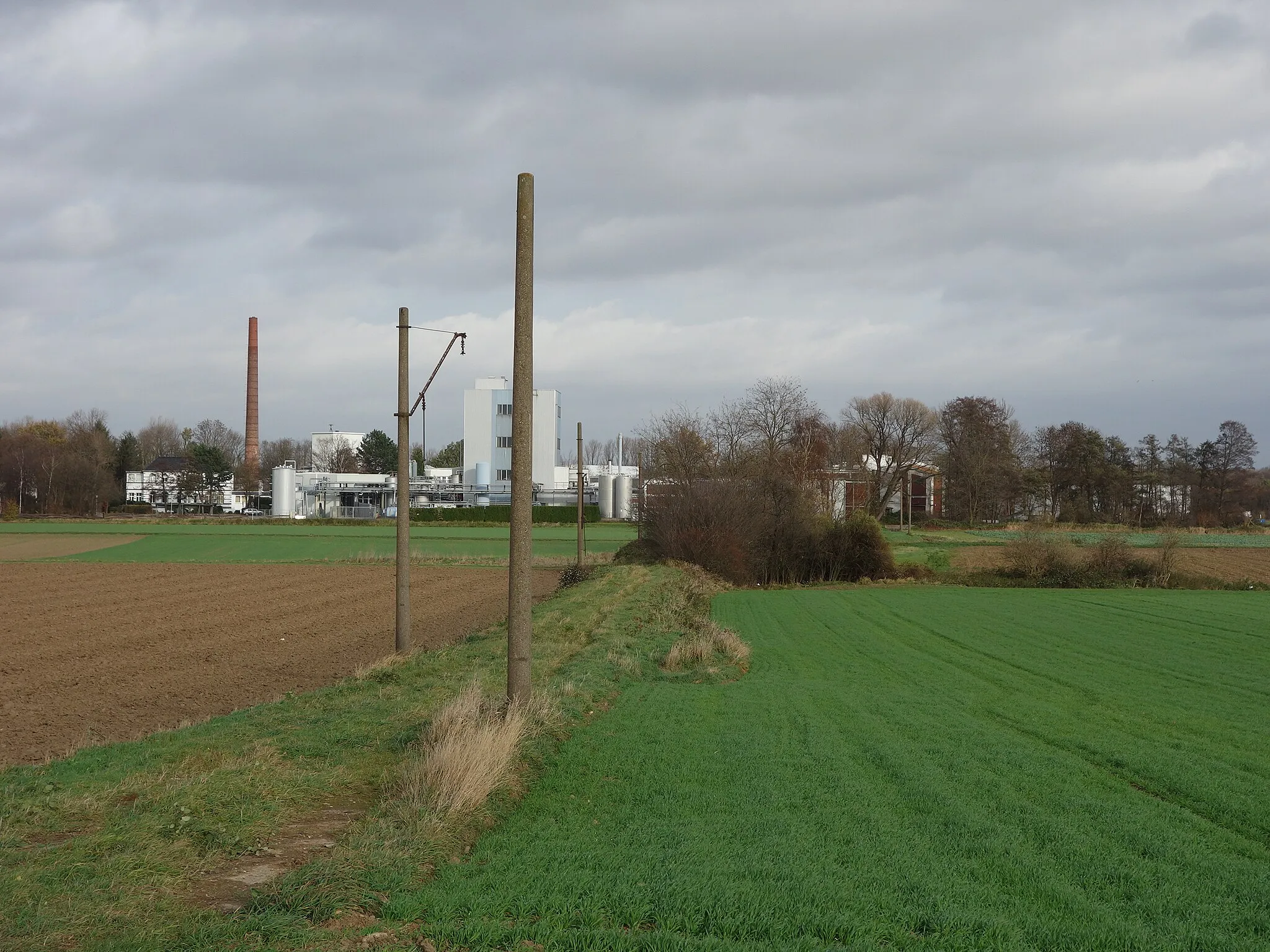 Photo showing: Trasse des früheren Gleisanschlusses der Pulverlack-Fabrik CWS Powder Coatings GmbH zur meterspurigen Überland-Straßenbahnstrecke Düren - Inden der in den 1960er Jahren stillgelegten Dürener Eisenbahn AG (DEAG). Auf dem Werksgelände befand sich bis zum Zweiten Weltkrieg die Papierfabrik Gebr. Schmitz, die ebenfalls schon seit 1901 diesen Gleisanschluss nutzte. Die Oberleitungsmasten haben seit der Stilllegung über fünf Jahrzehnte überdauert. Der Grasweg zeigt die Lage des früheren Bahngleises, das allerdings im vorderen Bereich über den heutigen Acker eine scharfe 90-Grad-Kurve zum rechten Bildrand hin machte, von wo aus das Gleis entlang der Paulstraße (von der aus das Bild aufgenommen ist) in Richtung Düren führte, um ca. 350 Meter weiter südlich in das neben der Roermonder Straße verlaufende Streckengleis einzumünden. Der vordere, rechts vom Weg stehende Mast markiert den Beginn dieser Kurve.