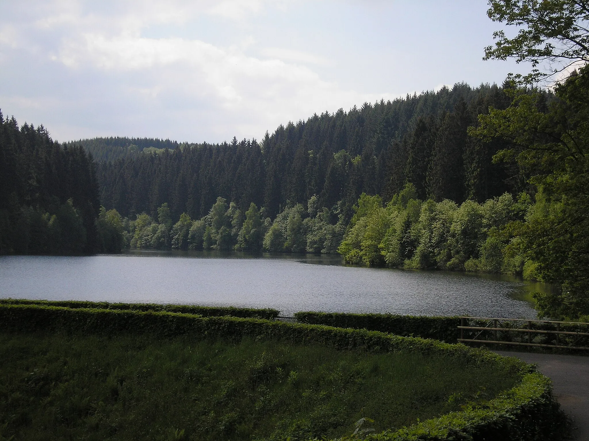 Photo showing: Perlenbachtalsperre bei Monschau-Höfen mit Staudamm.